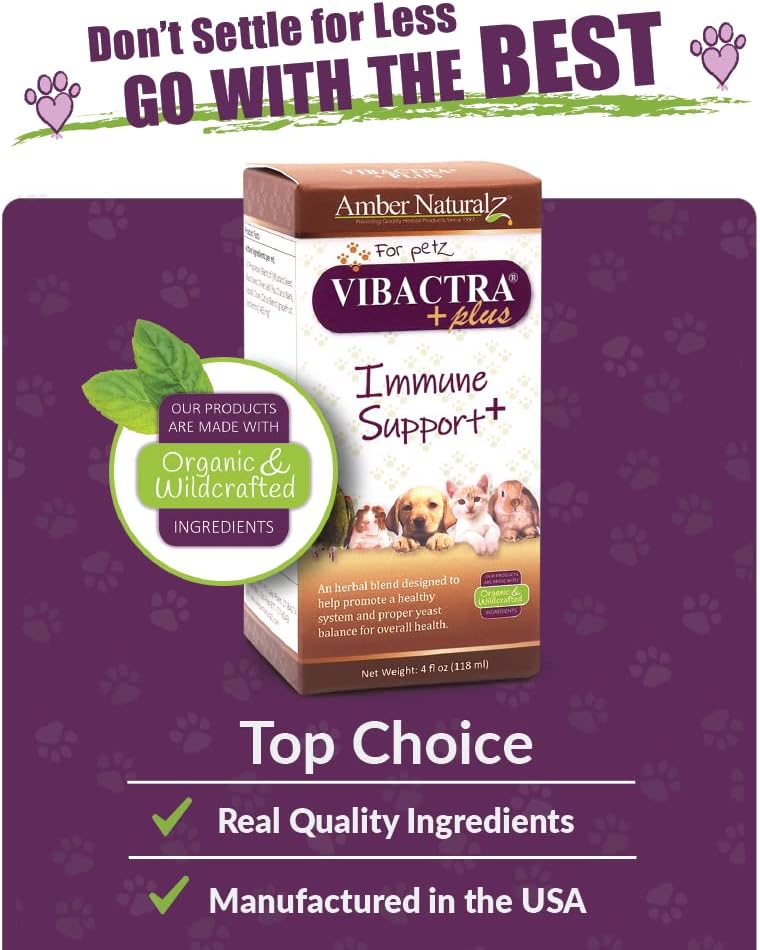 Amber NaturalZ Vibactra Plus Herbal Supplement for Pets | Immune Health Support | 4oz Glass Bottle | Made in USA