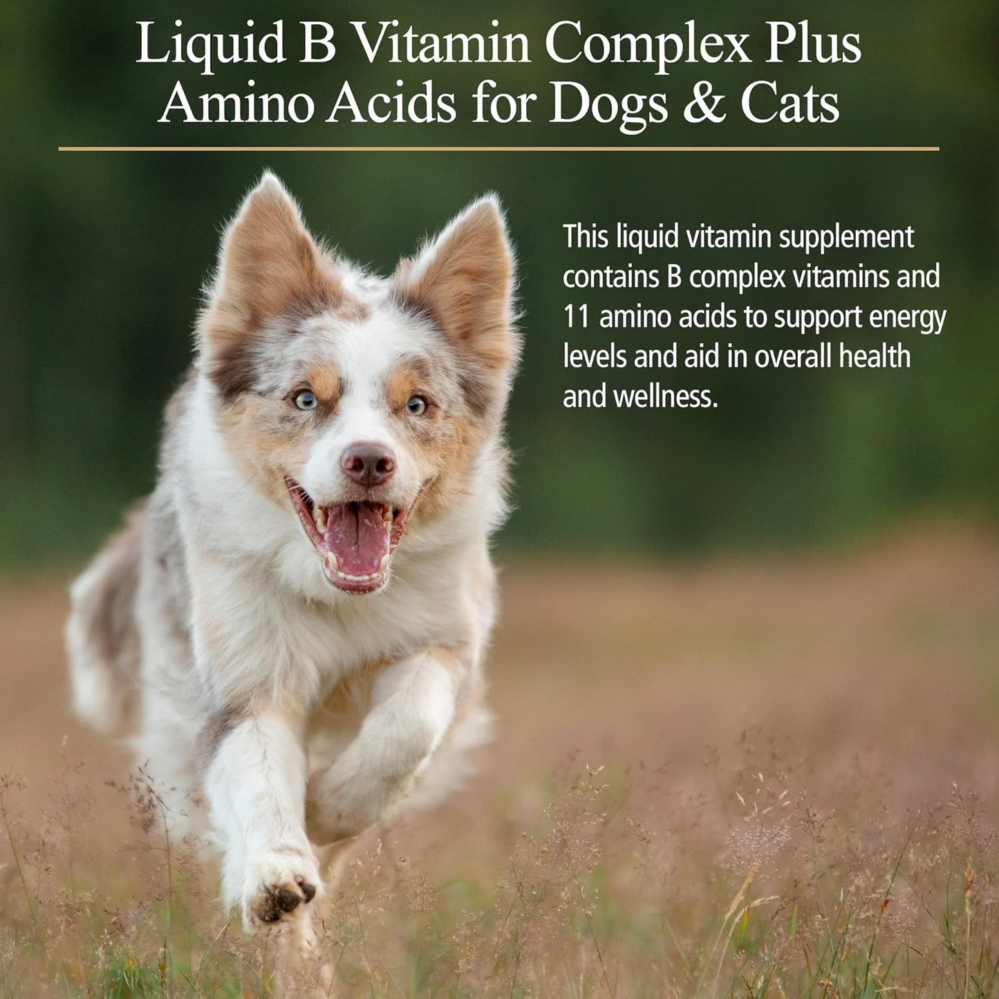 Amino B Plex for Pets: B Vitamin Complex with Amino Acids - 4 oz Supplement for Dogs & Cats Total Body Support
