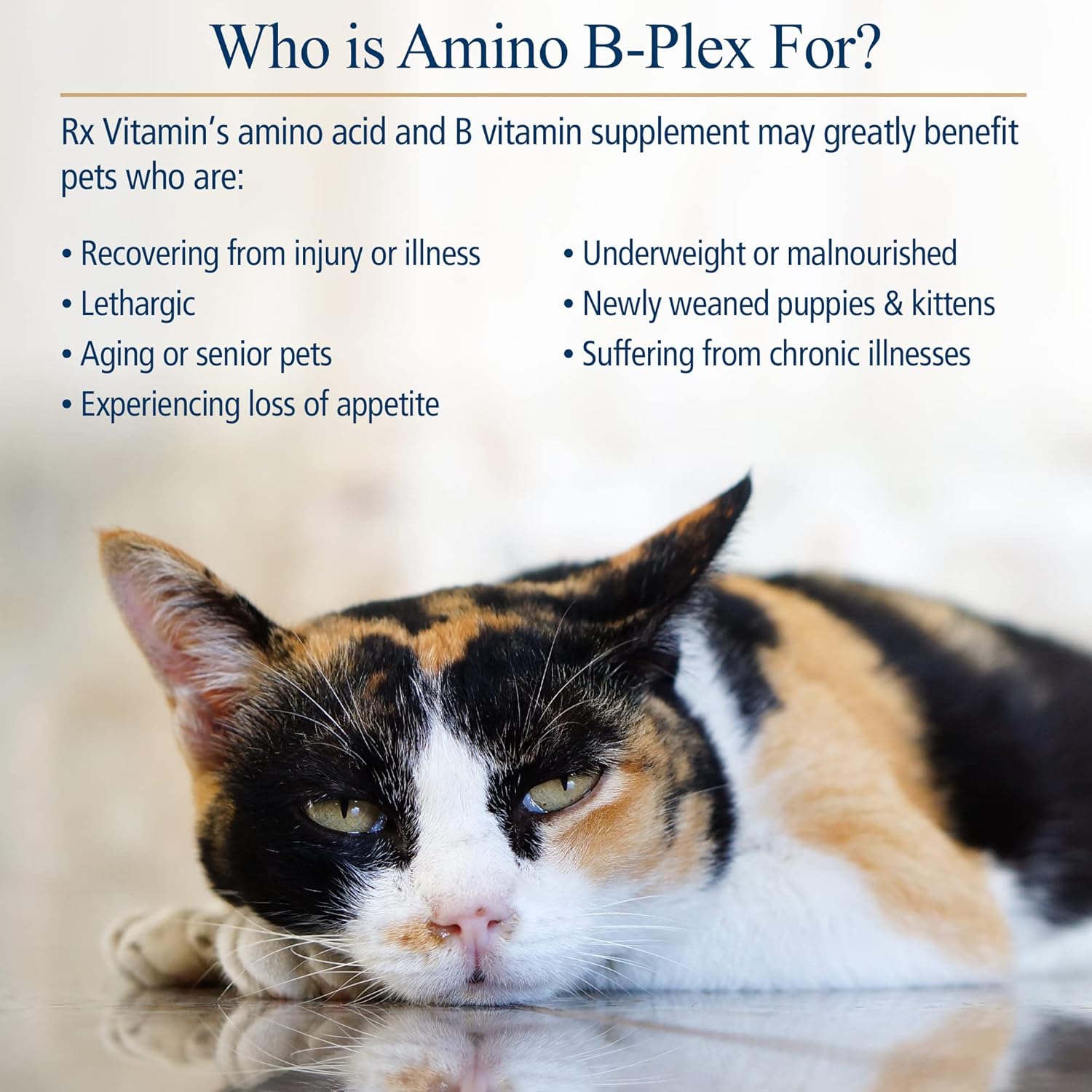 Amino B Plex for Pets: B Vitamin Complex with Amino Acids - 4 oz Supplement for Dogs & Cats Total Body Support