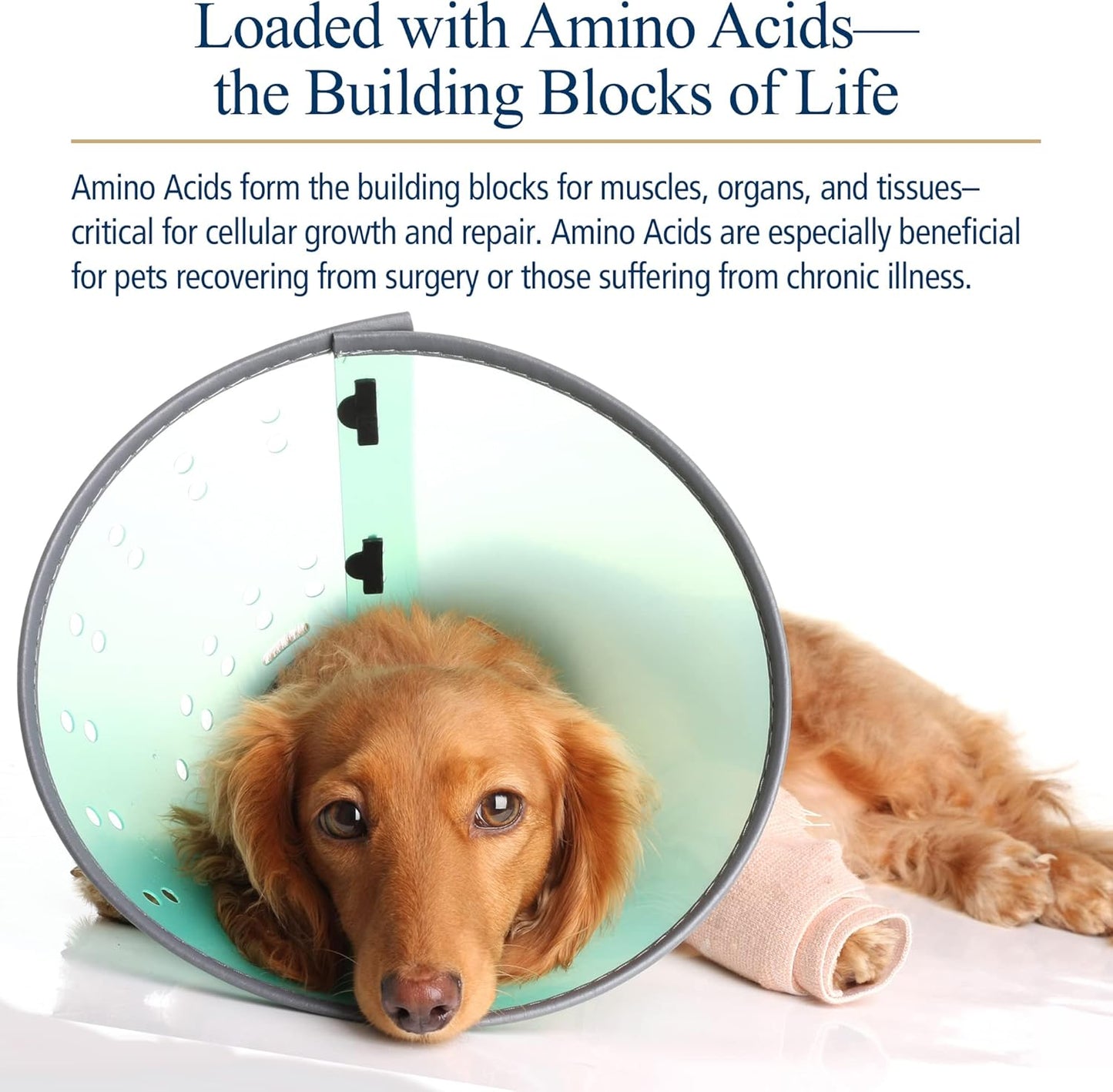 Amino B Plex for Pets: B Vitamin Complex with Amino Acids - 4 oz Supplement for Dogs & Cats Total Body Support