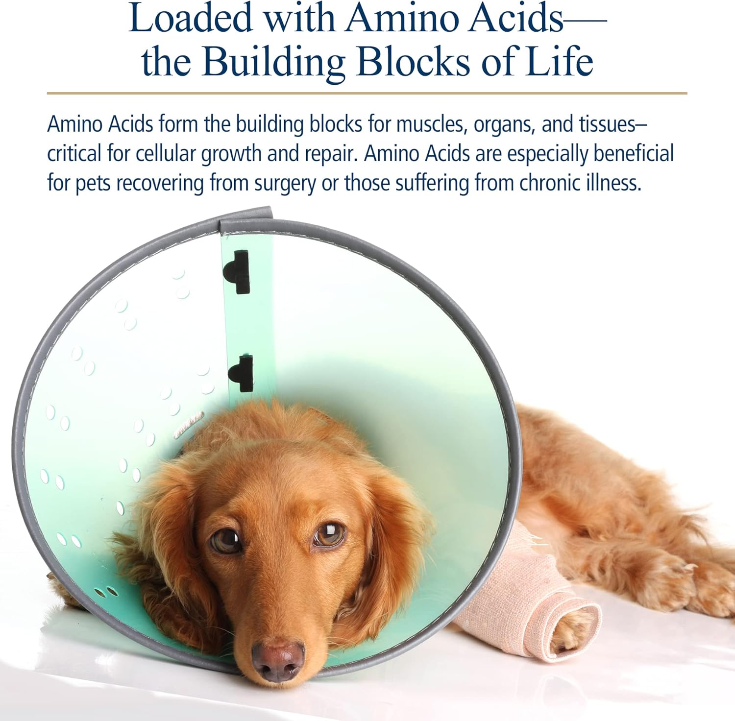 Amino B Plex for Pets: B Vitamin Complex with Amino Acids - 4 oz Supplement for Dogs & Cats Total Body Support
