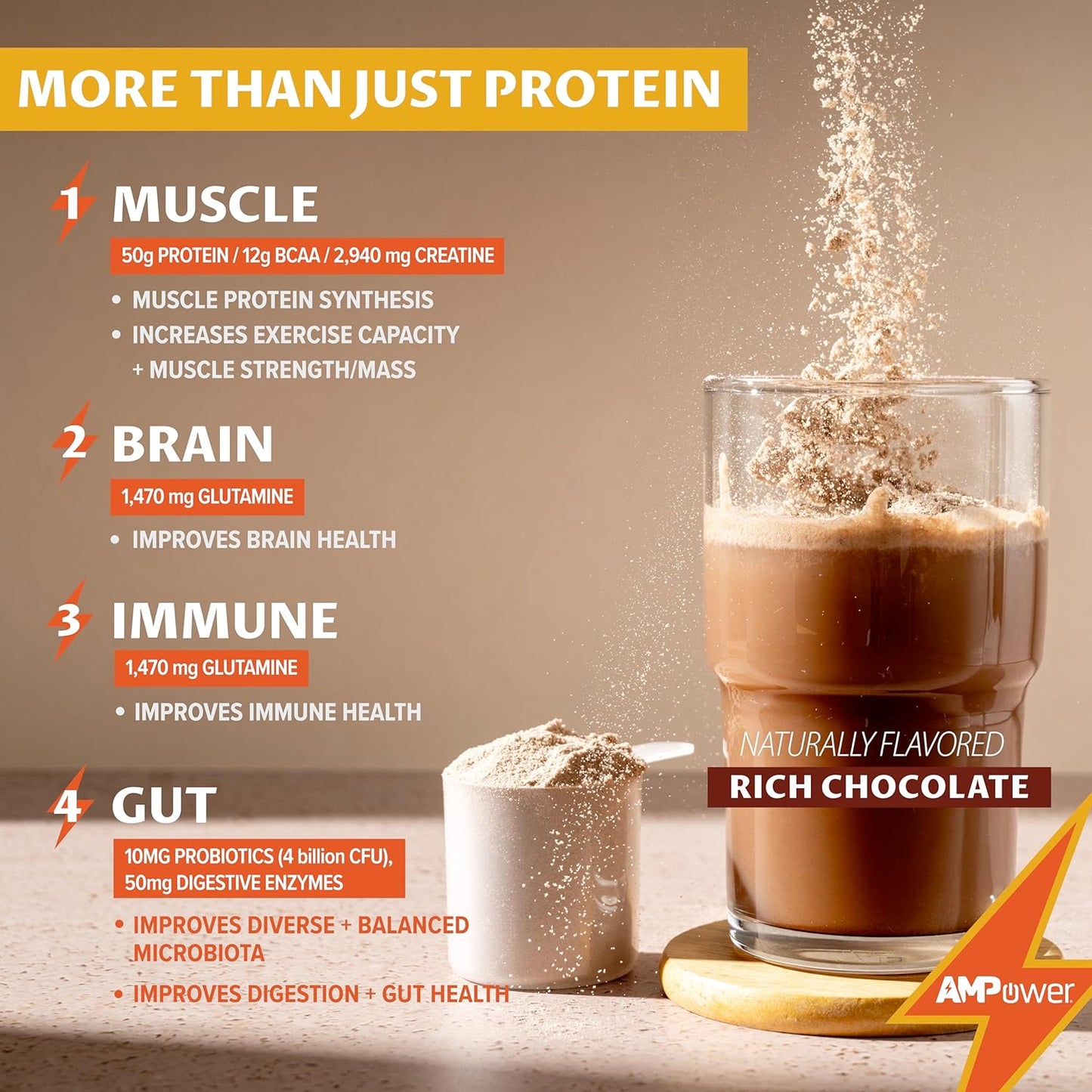 AMPOWER Rich Chocolate Whey Protein Powder with Muscle-Building Ingredients for Gut, Brain, and Immune Support - 38.9oz