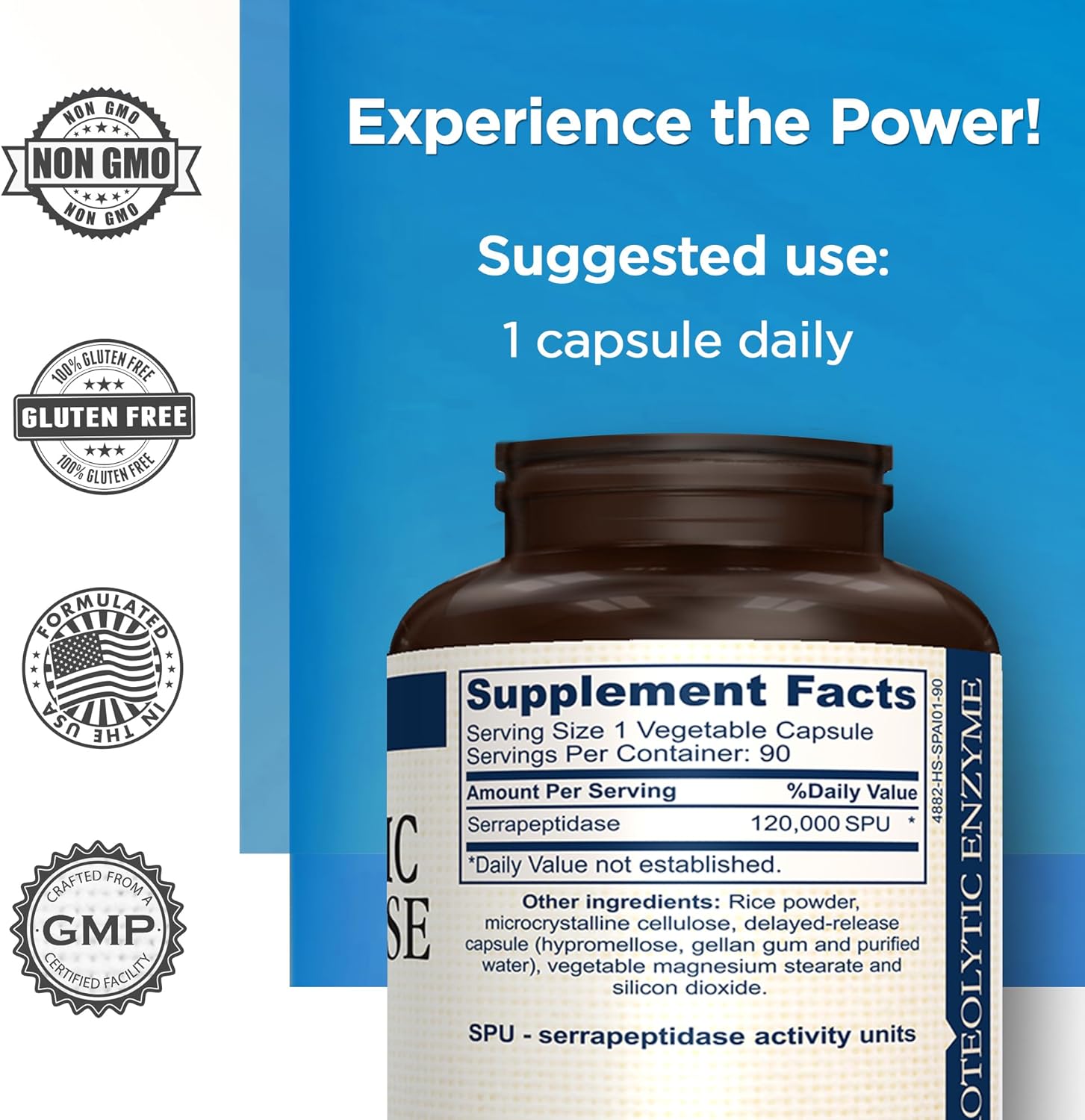 AMVILAB Proteolytic Serrapeptase Enzymes 120,000 SPU - Supports Circulation, Digestion, Respiratory & Sinus Health - Immune Support - Recovery Boost - 90 Capsules