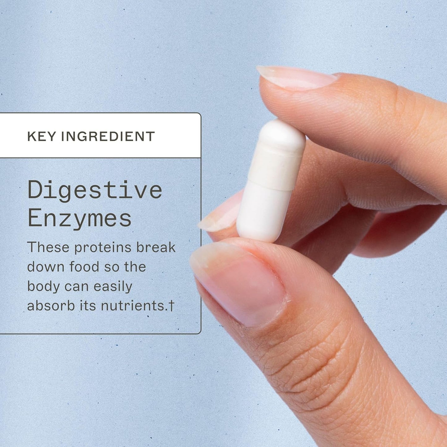 Amy Myers MD Candifense Candida Cleanse - Plant Based Enzymes for Digestion & Gut Health - 120 Capsules
