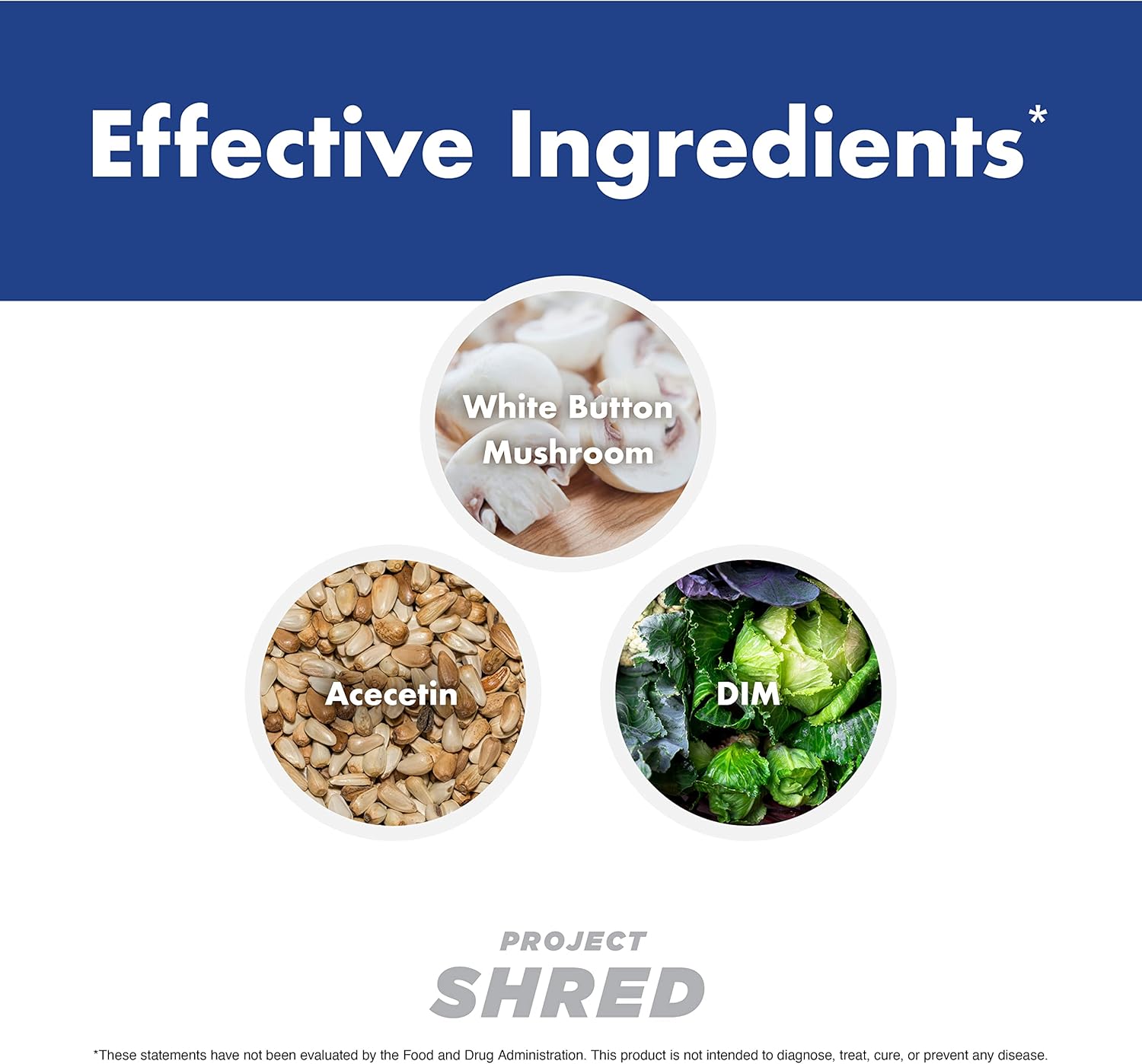 Anabolic Warfare Project Shred Supplement - Control Cortisol & Water Retention, Body Recomposition Formula with Botanicals
