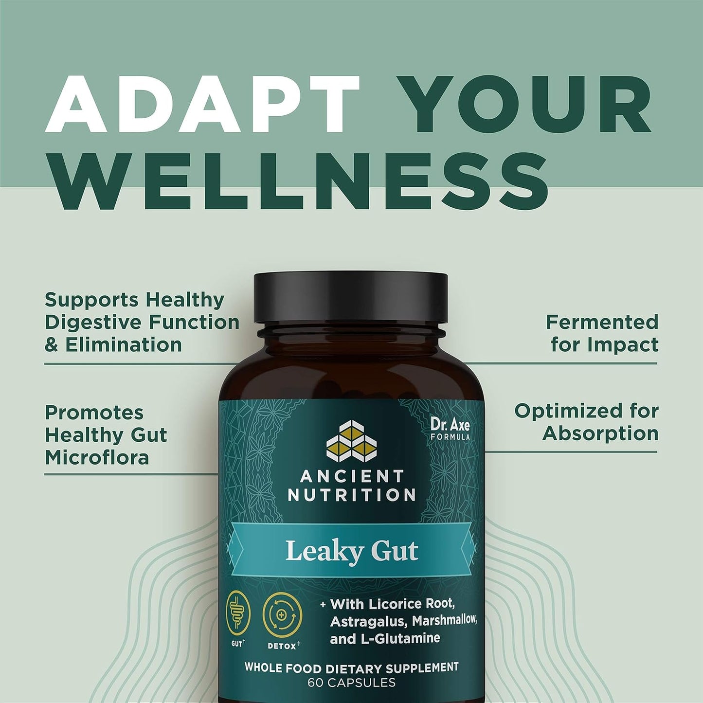 Ancient Nutrition Gut Health Supplement Capsules - 60 ct with Licorice Root, Astragalus, Marshmallow, L-Glutamine - Gluten Free, Paleo, Keto Friendly