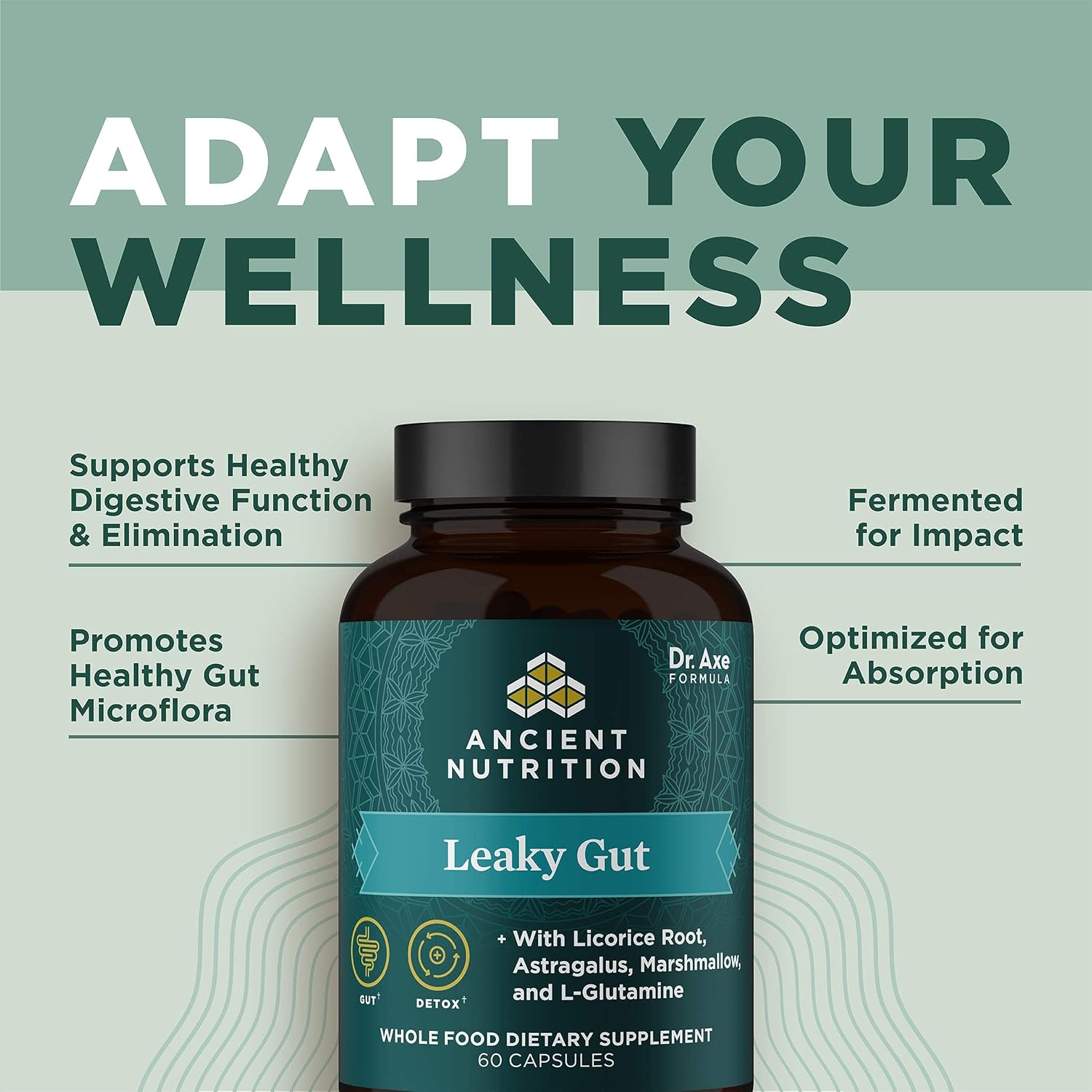 Ancient Nutrition Gut Health Supplement Capsules - 60 ct with Licorice Root, Astragalus, Marshmallow, L-Glutamine - Gluten Free, Paleo, Keto Friendly