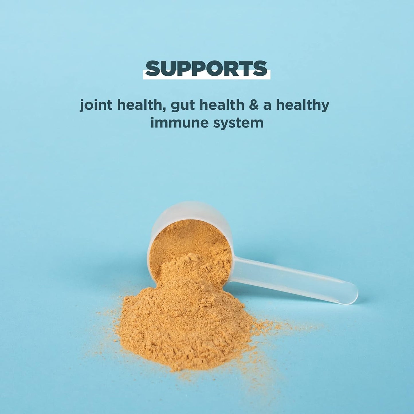 Ancient Nutrition Salted Caramel Bone Broth Protein Powder - 19g Protein, Supports Healthy Skin, Gut & Joints, Gluten-Free, Paleo & Keto Friendly - 20 Servings
