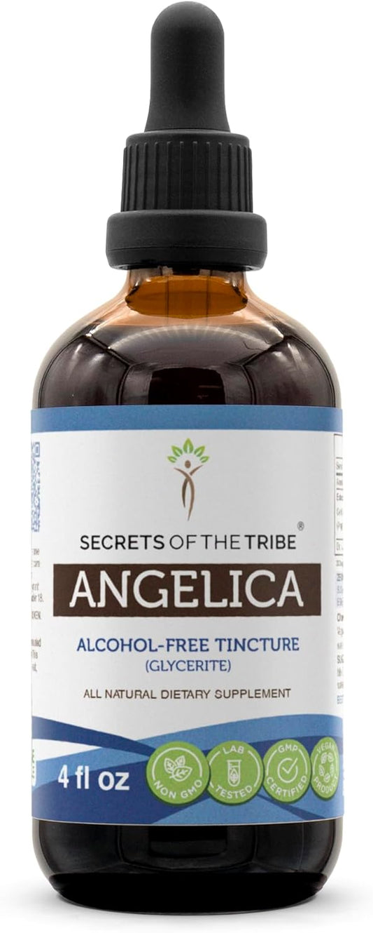 Angelica Tincture Alcohol-Free Liquid Extract - 4 FL OZ - Angelica (Angelica archangelica) Root