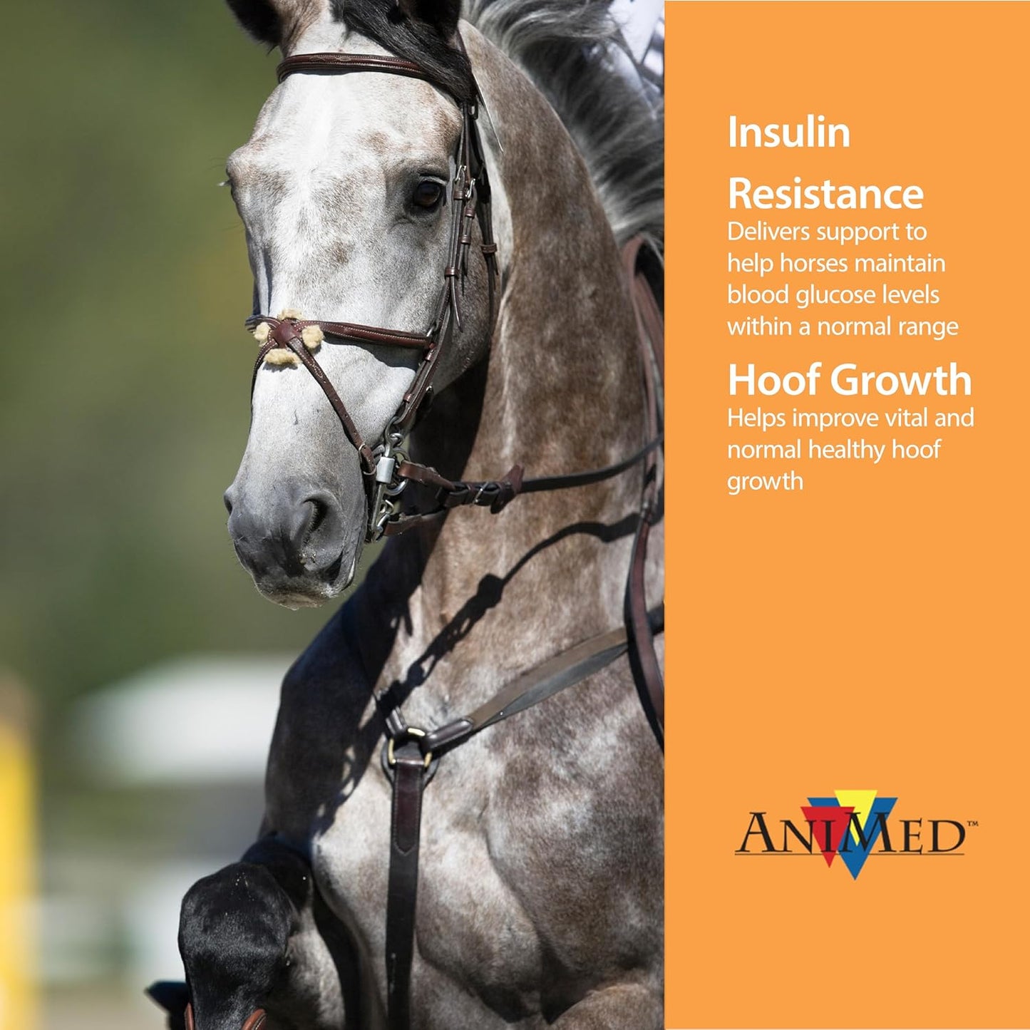 AniMed Remission 4 lb Equine Supplement for Hoof Health and Insulin Resistance