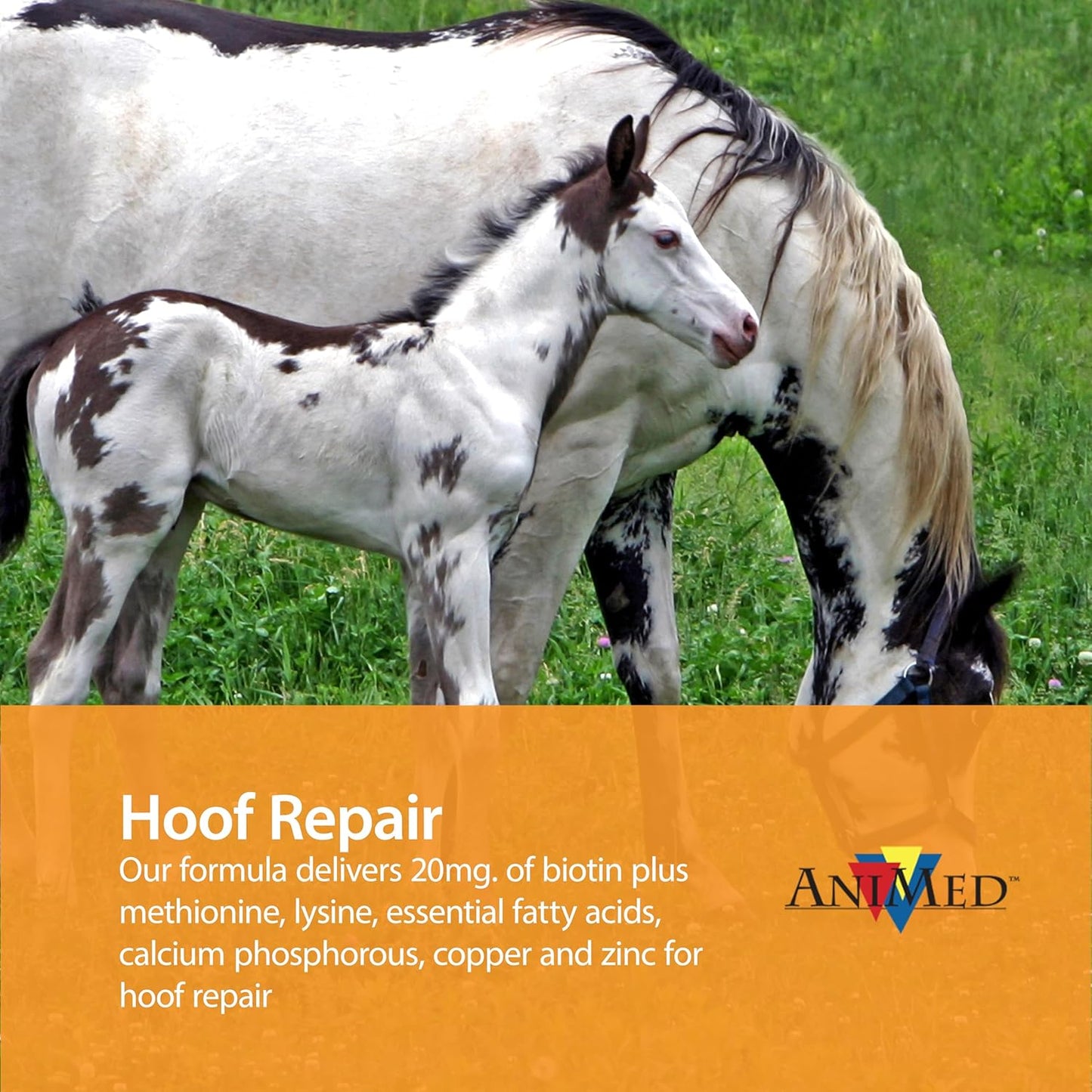 AniMed Remission 4 lb Equine Supplement for Hoof Health and Insulin Resistance