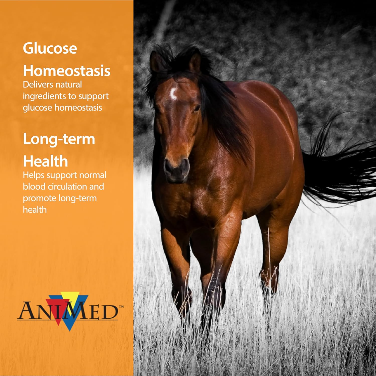 AniMed Remission 4 lb Equine Supplement for Hoof Health and Insulin Resistance