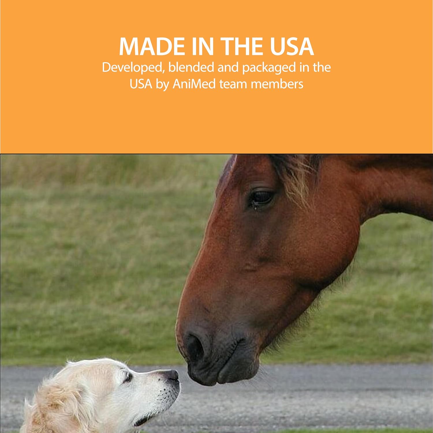 AniMed Remission 4 lb Equine Supplement for Hoof Health and Insulin Resistance