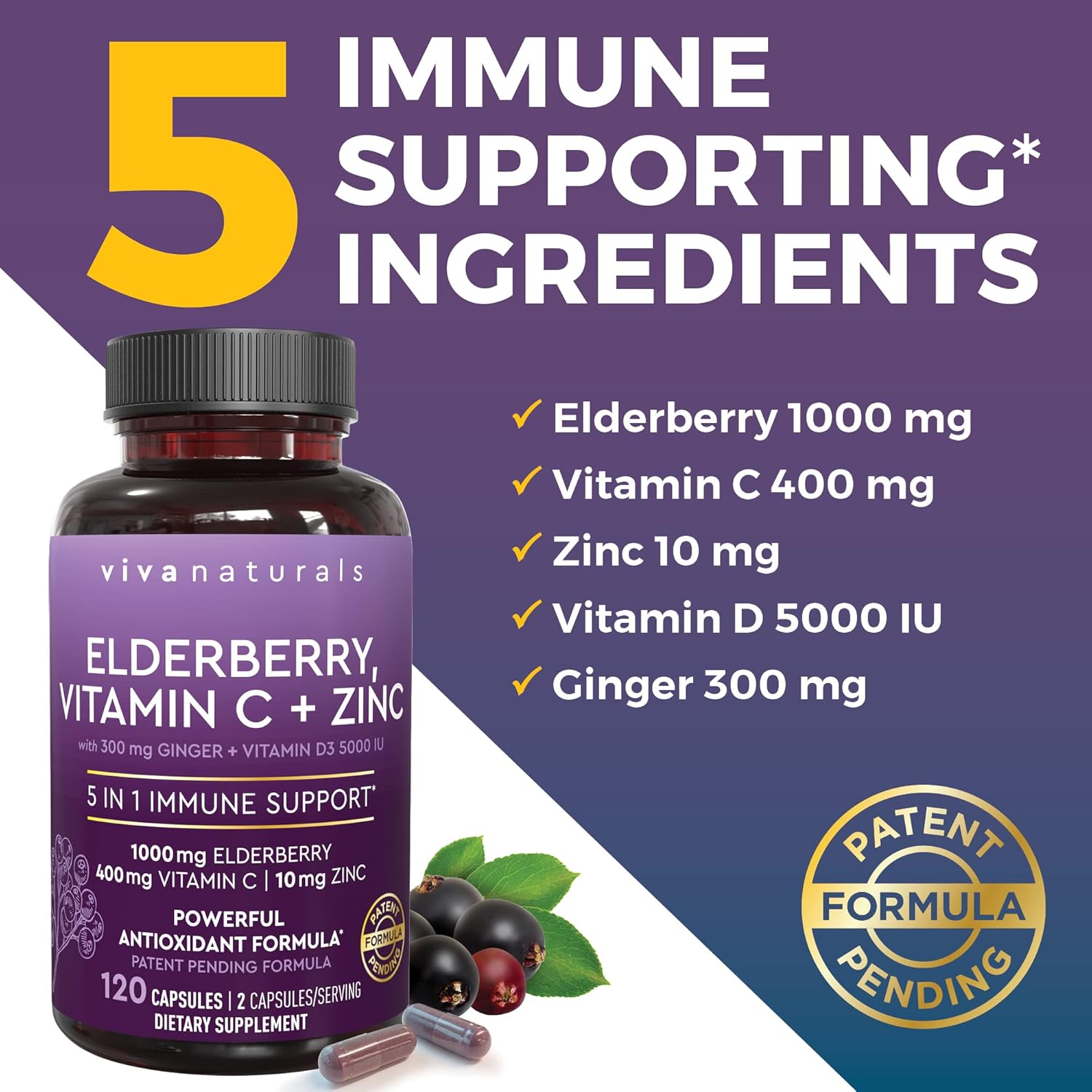 Antarctic Krill Oil Bundle with Elderberry, Vitamin C, Zinc, and Vitamin D3 - 1250mg Krill Oil for Joint Health and Elderberry for Immune Support