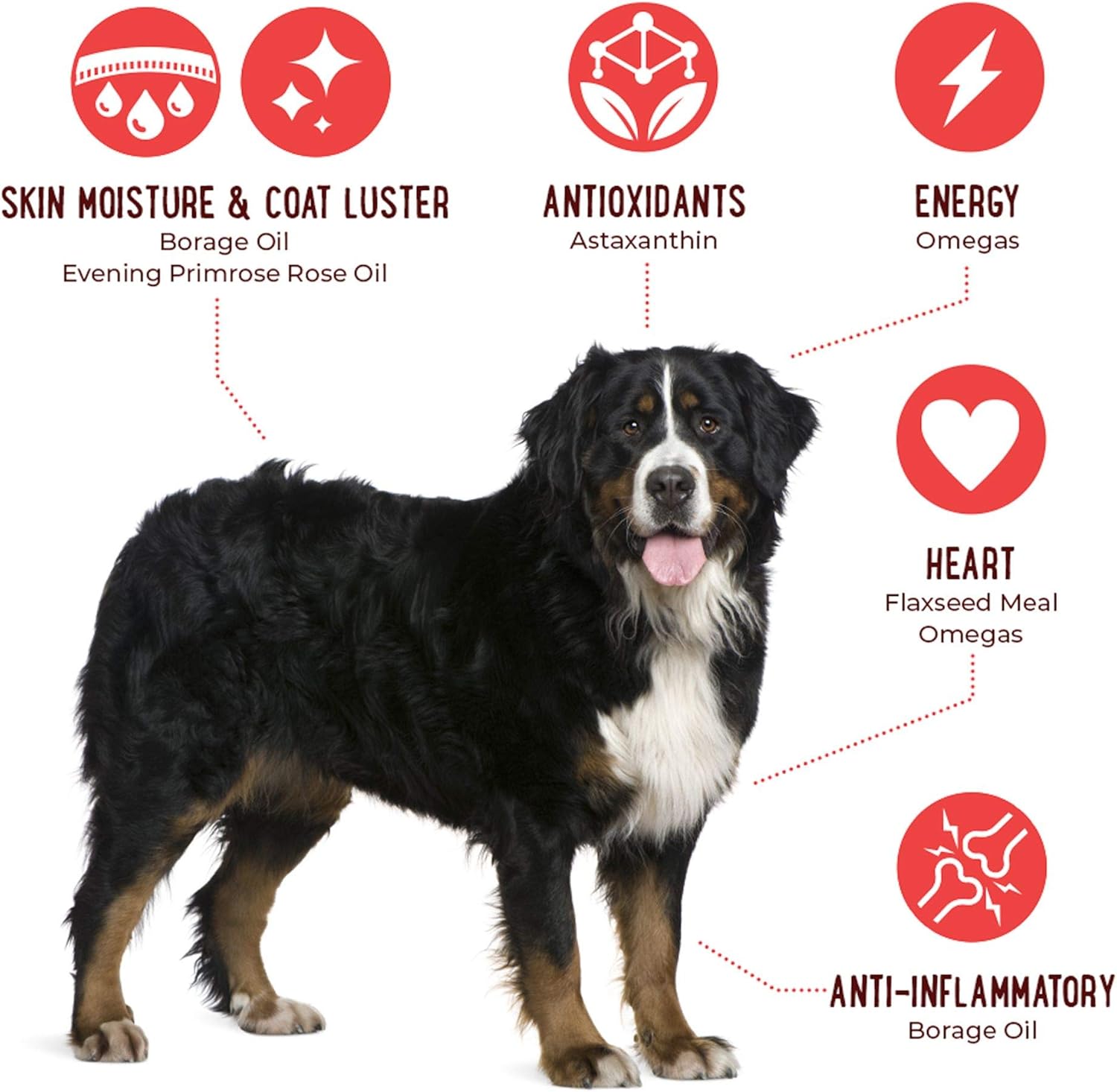 Antarctic Krill Oil Omega 3-6-9 Skin & Coat Supplement for Dogs - Allergy Relief Chews, 120 Count