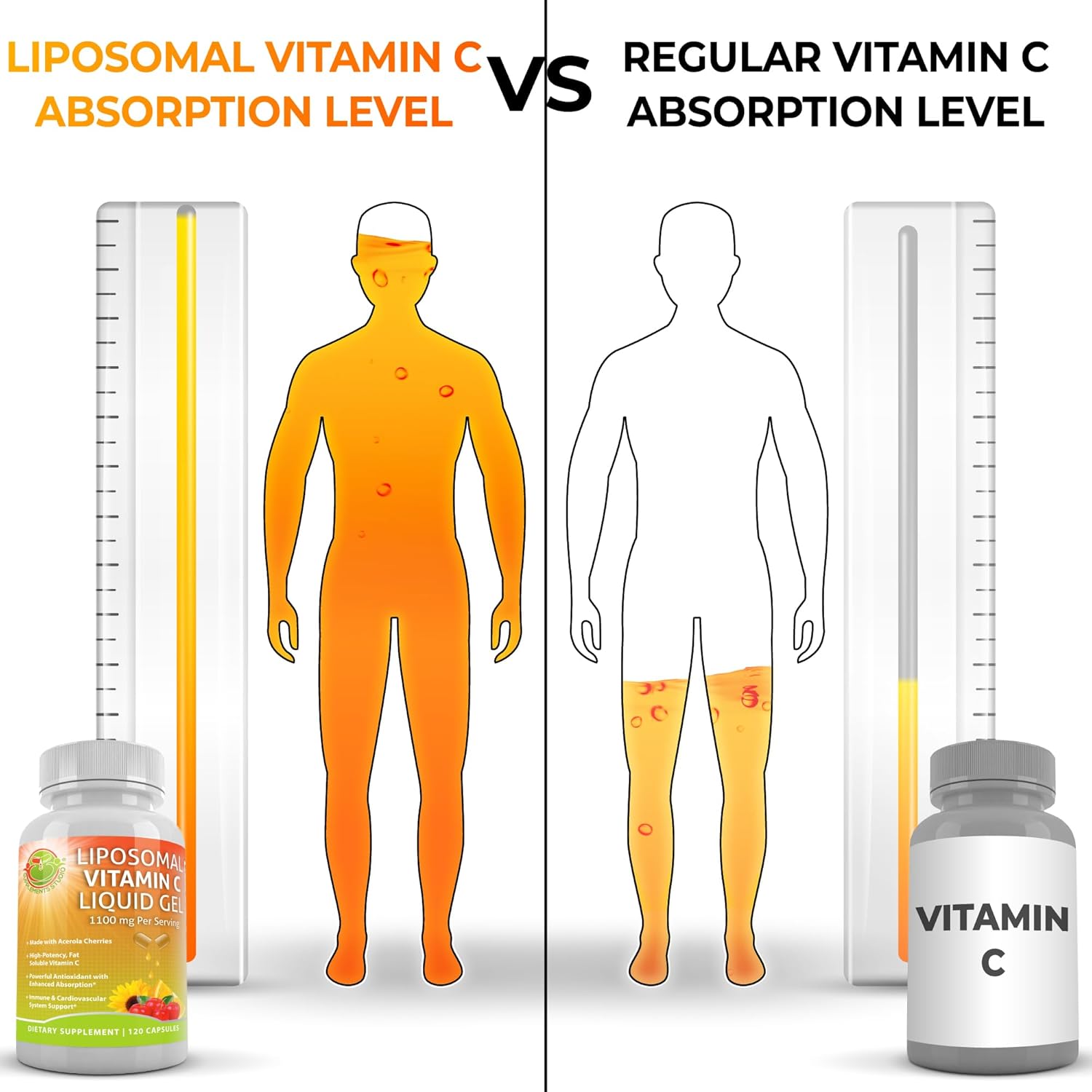 Antioxidant & Immune System Boosting Bundle: Quercetin with Bromelain, Liposomal Vitamin C Liquid Gel, Whole Food Multivitamin for Men & Women