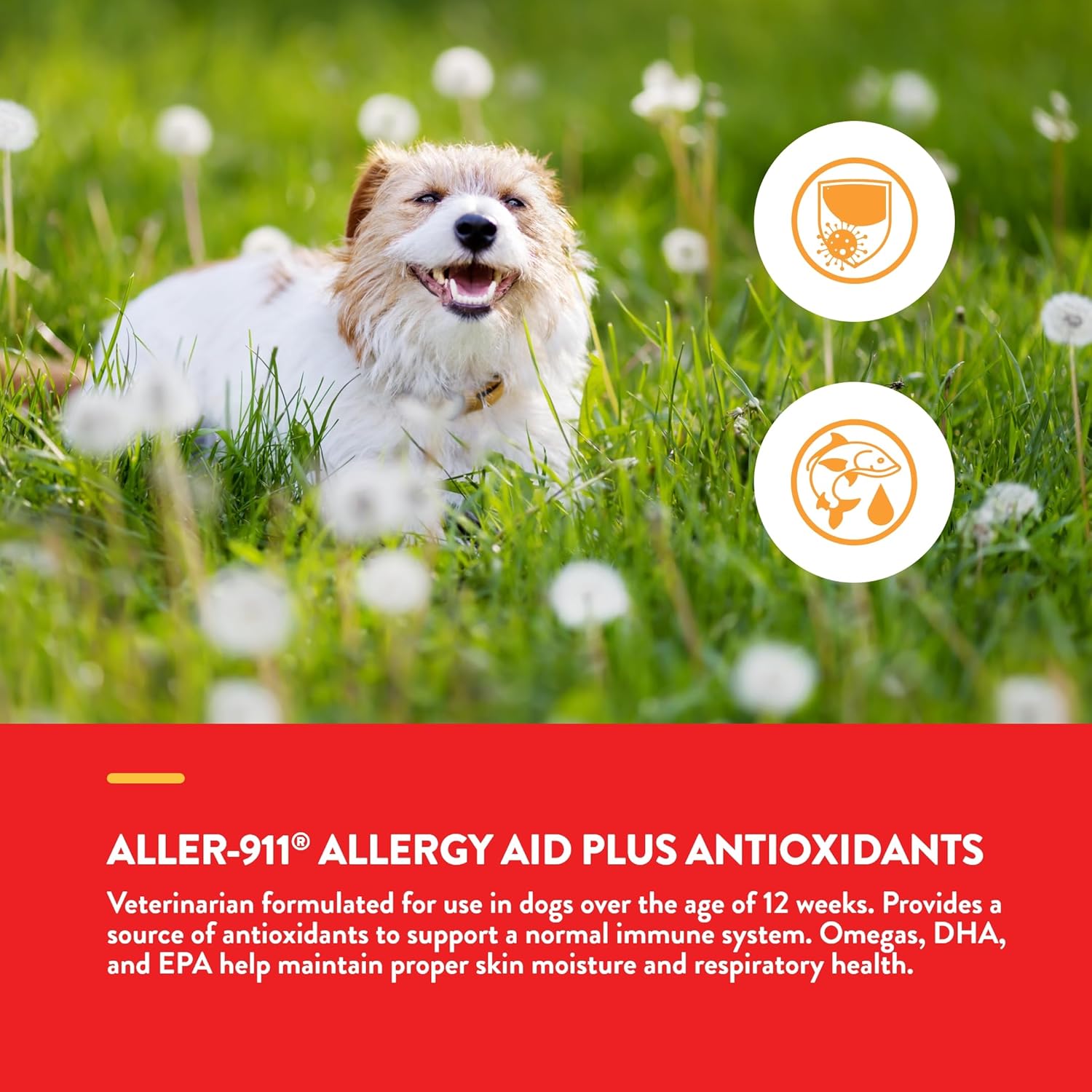 Antioxidant-Rich Pet Supplement for Dogs and Cats - Immune and Respiratory Support - 180 Soft Chews