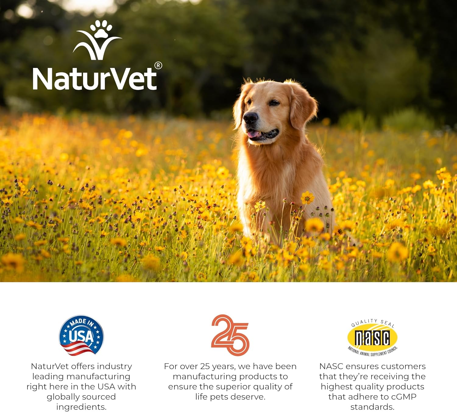 Antioxidant-Rich Pet Supplement for Dogs and Cats - Immune and Respiratory Support - 180 Soft Chews