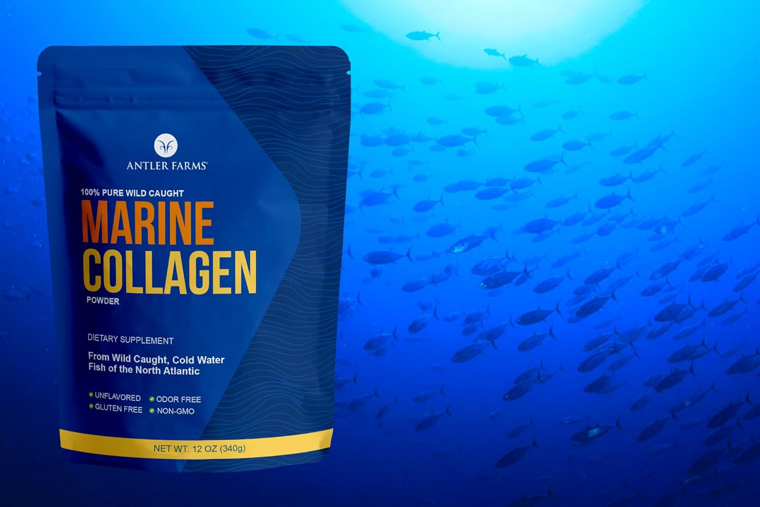 Antler Farms Marine Collagen Powder - 100% Pure, Wild Caught Pacific Snapper, 12 oz - Soluble in Hot or Cold Liquids, Highly Bioavailable, Rapid Absorption - Tasteless & Odorless