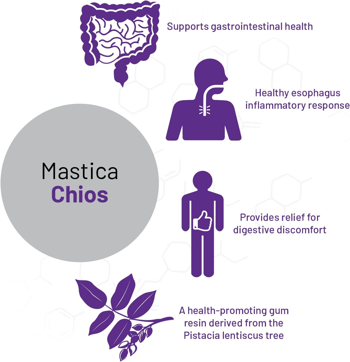 AOR Mastica Chios Vegan Supplement for Gastrointestinal Health - 120 Servings