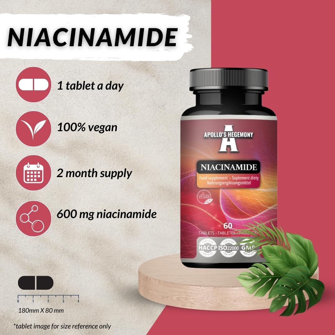 Apollo's Hegemony Niacinamide 500mg Tablets - 60 Count Vegan Supplement for Energy & Nerve Support - 2 Month Supply