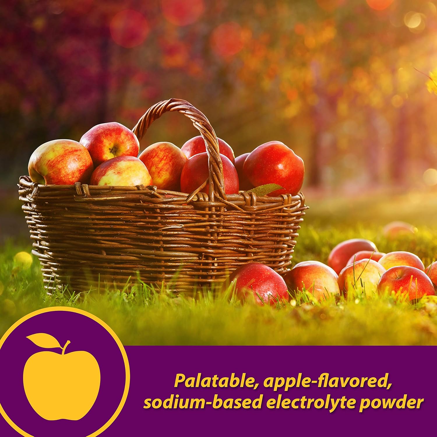 Apple Flavored Electrolytes for Horses - Farnam Horse Health Apple-Dex 5 lb