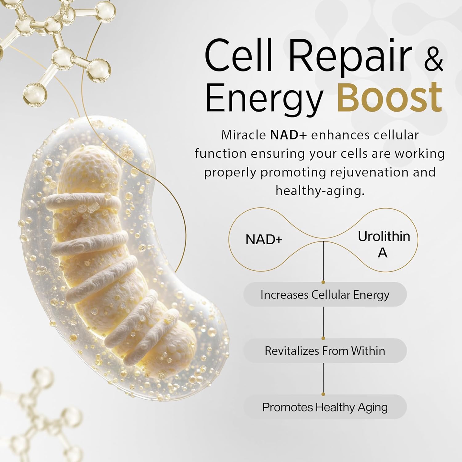 AQUAAID Miracle NAD Supplement with Urolithin A, NR, NAD+, Resveratrol - Healthy Aging & Cellular Energy - 60 Capsules