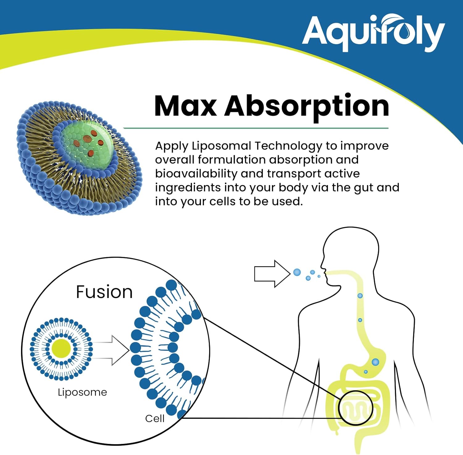 Aquifoly Liposomal NMN Supplement 2000mg with TMG and Pterostilbene for NAD+ Boost, Cellular Energy, and Age Defense - 60 Softgels