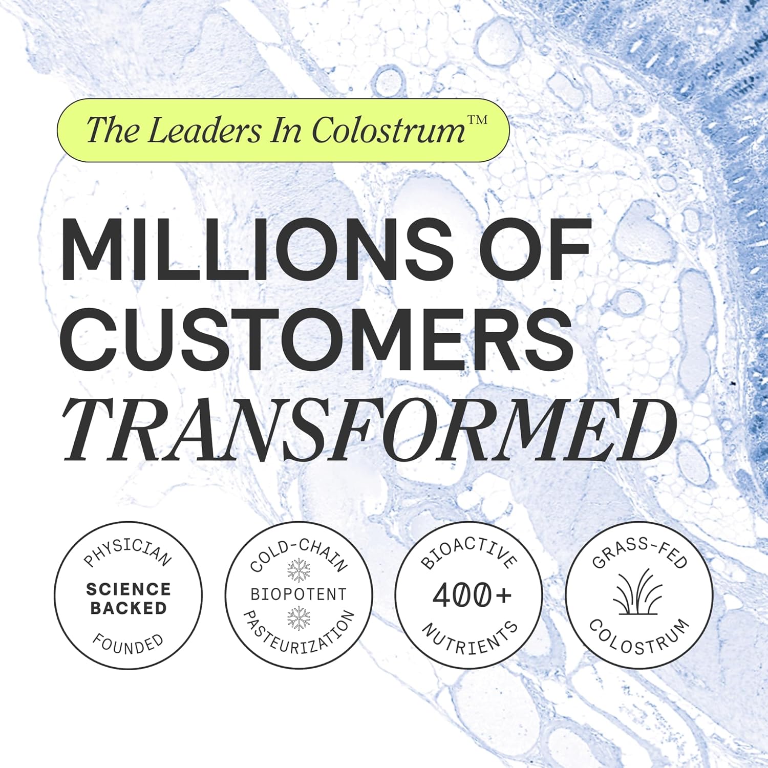 ARMRA Colostrum™ Premium Powder: Grass Fed, Gut Health & Immunity Support with 400+ Bioactive Nutrients - Keto Friendly & Gluten Free (Vine Watermelon Flavor | 90 Servings)