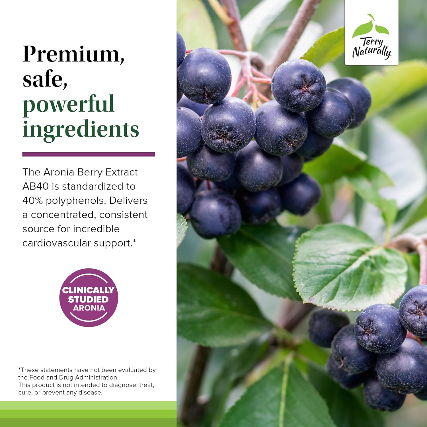 Aronia Berry Complex with Grape Seed Extract - Antioxidant Heart Support Supplement - 60 Capsules