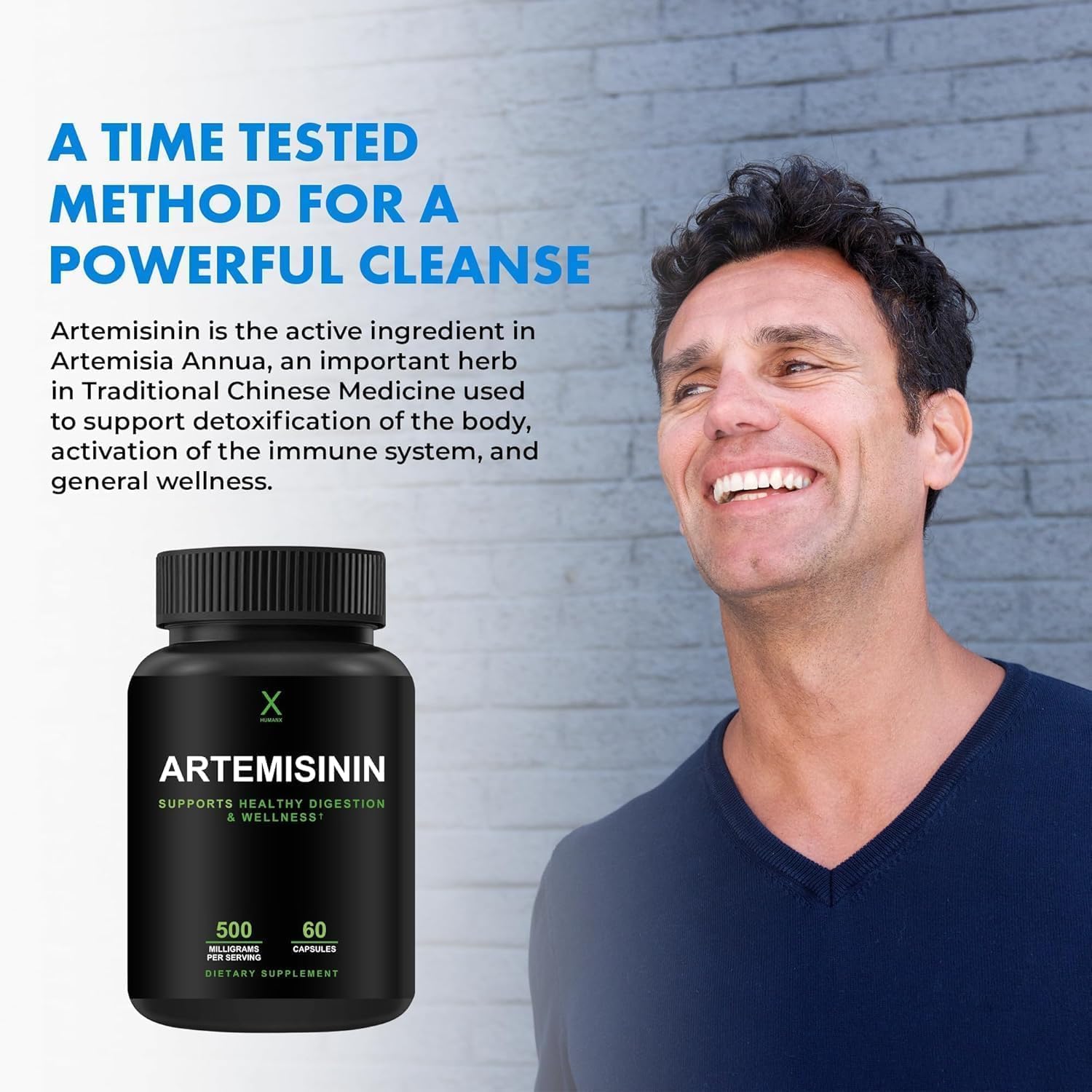 Artemisinin 500mg Supplement for Healthy Aging, Digestion, Immunity - USA Third Party Tested - Vegan, Non-GMO - Sweet Wormwood Extract Capsules