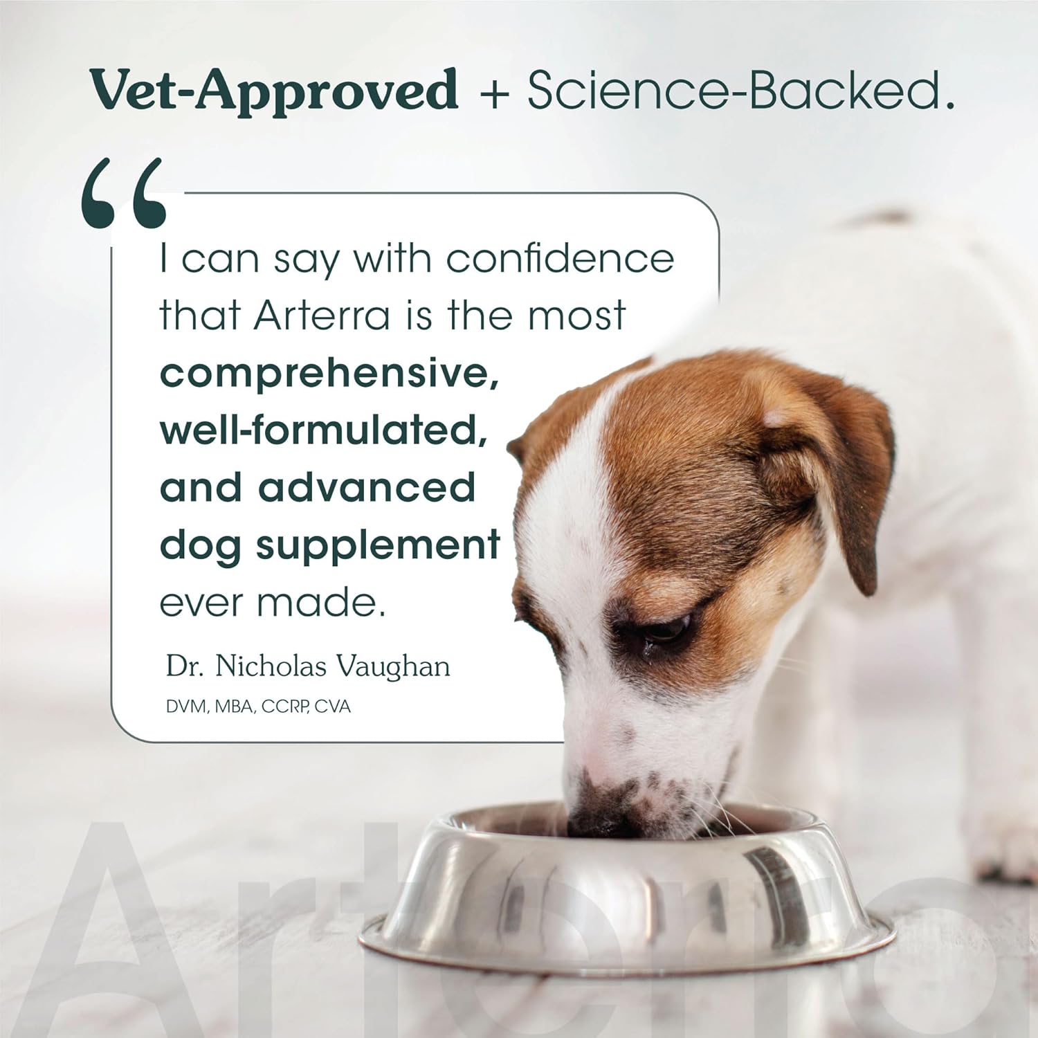 Arterra Pet Science Senior Dog Supplement with 63 Premium Ingredients for Aging Support, Hip & Joint, Cognition & Mood, Gut & Organs - Vet-Formulated All-in-One Senior Formula (8+ Years), 9.7 oz