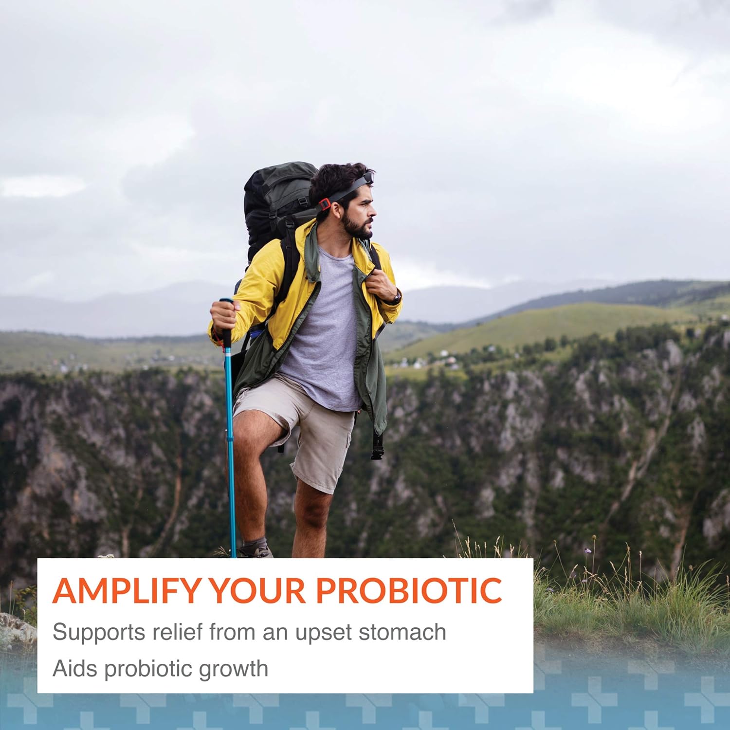 Arthur Andrew Medical Floraphage Prebiotic and Probiotic Multiplier 30 Capsules for Gut Health