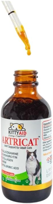 Artricat Dietary Supplement for Cats by Interfarma Corp | Cartilage Protection, Joint Support, & Inflammation Reduction | With Glucosamine, Collagen & Hyaluronic Acid | Pineapple Flavor, Drops