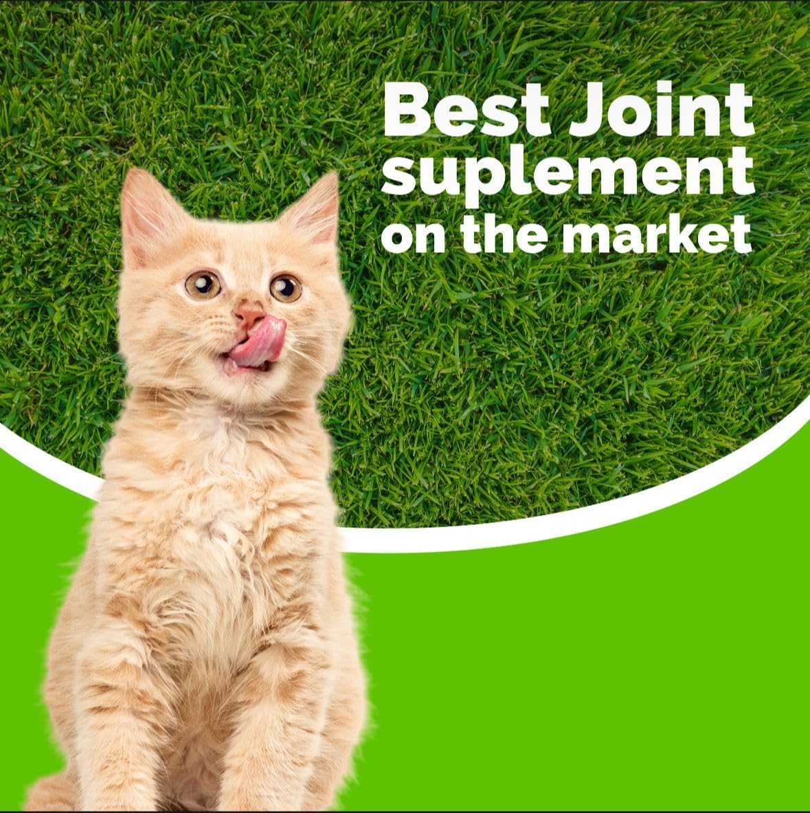 Artricat Dietary Supplement for Cats by Interfarma Corp | Cartilage Protection, Joint Support, & Inflammation Reduction | With Glucosamine, Collagen & Hyaluronic Acid | Pineapple Flavor, Drops