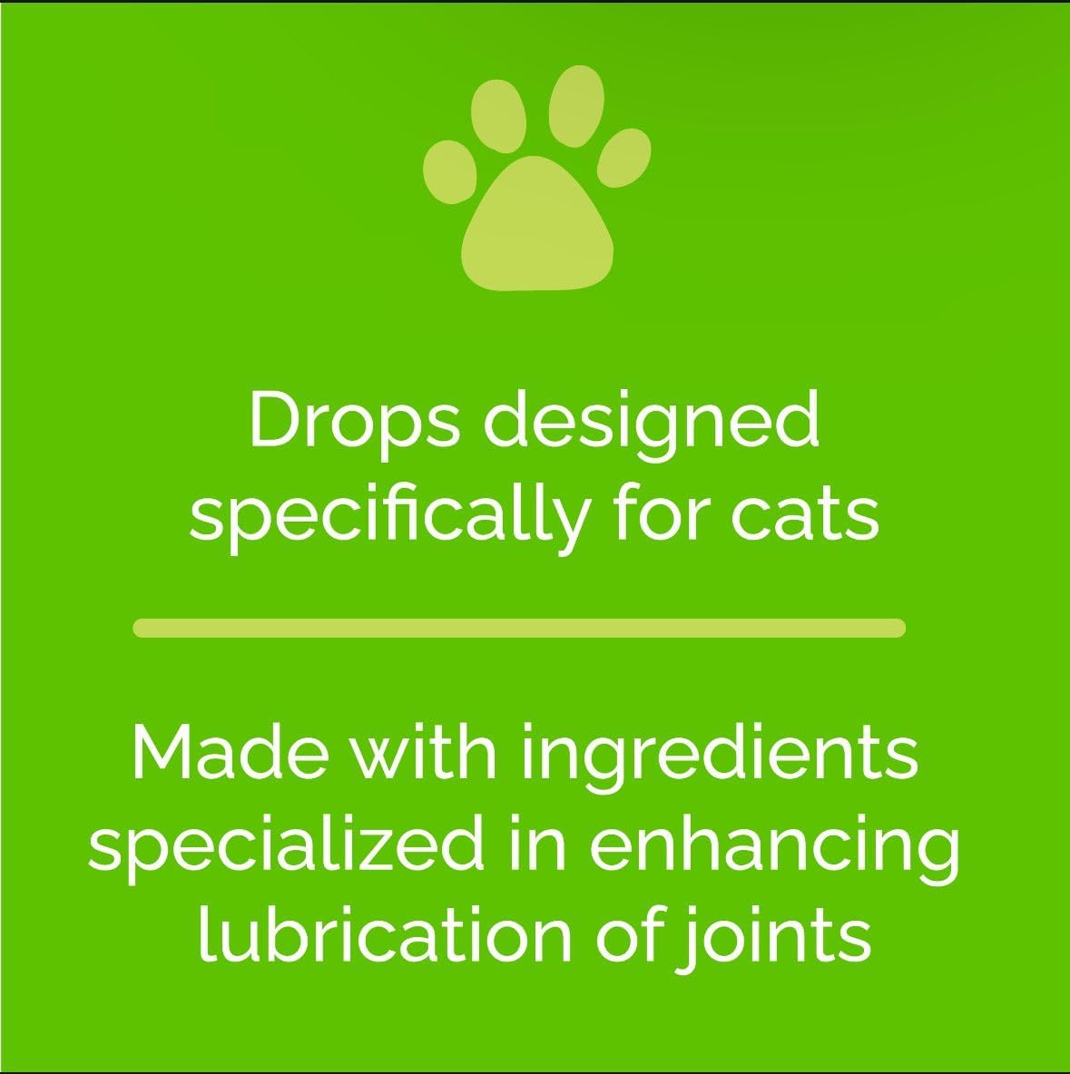 Artricat Dietary Supplement for Cats by Interfarma Corp | Cartilage Protection, Joint Support, & Inflammation Reduction | With Glucosamine, Collagen & Hyaluronic Acid | Pineapple Flavor, Drops