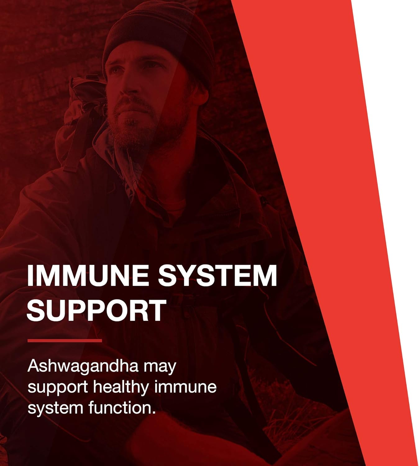 Ashwagandha 450mg Capsules for Immune Support - Ayurvedic Adaptogen Supplement by Protocol for Life Balance