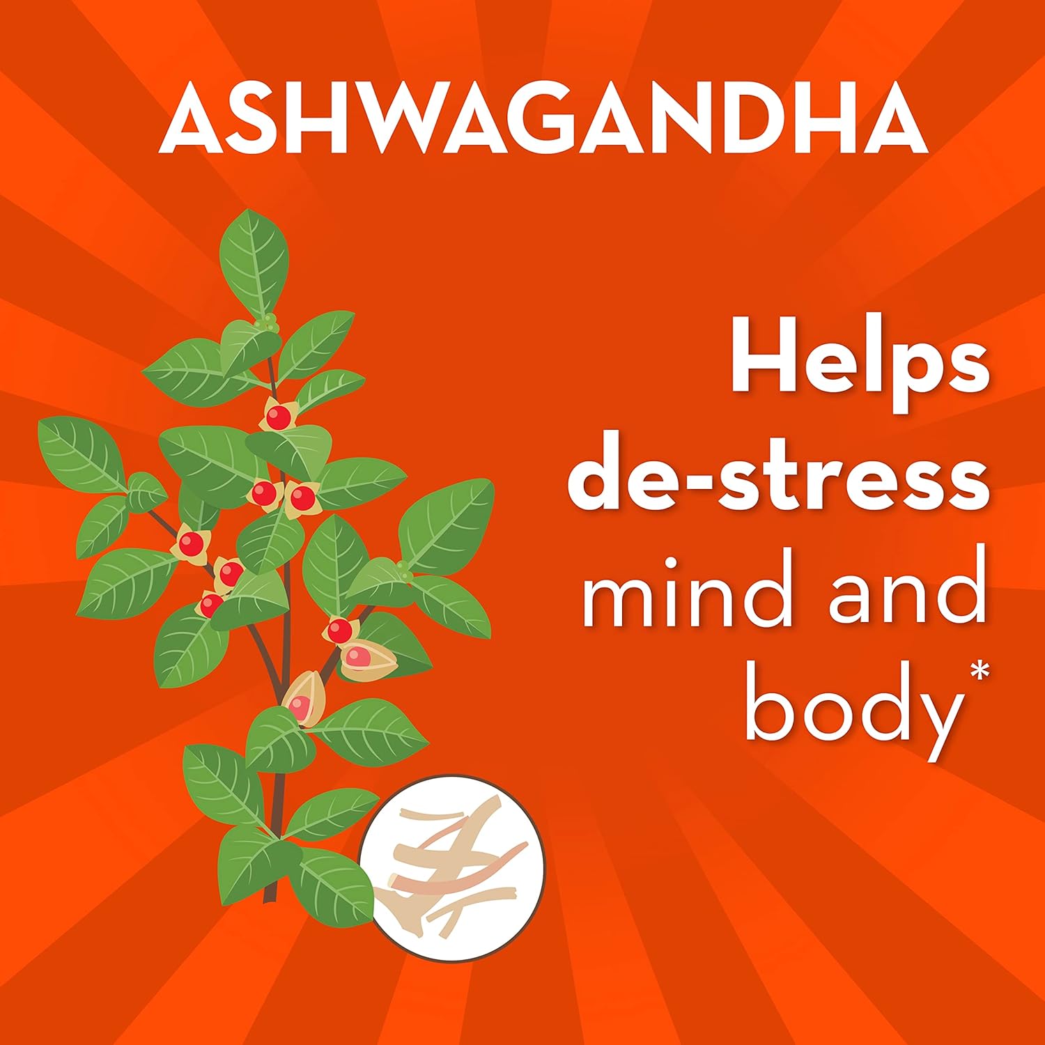 Ashwagandha Probiotic for Women and Men, Digestive Support with Stress Relief, Gluten-Free, Soy-Free, Vegetarian, 21 Capsules