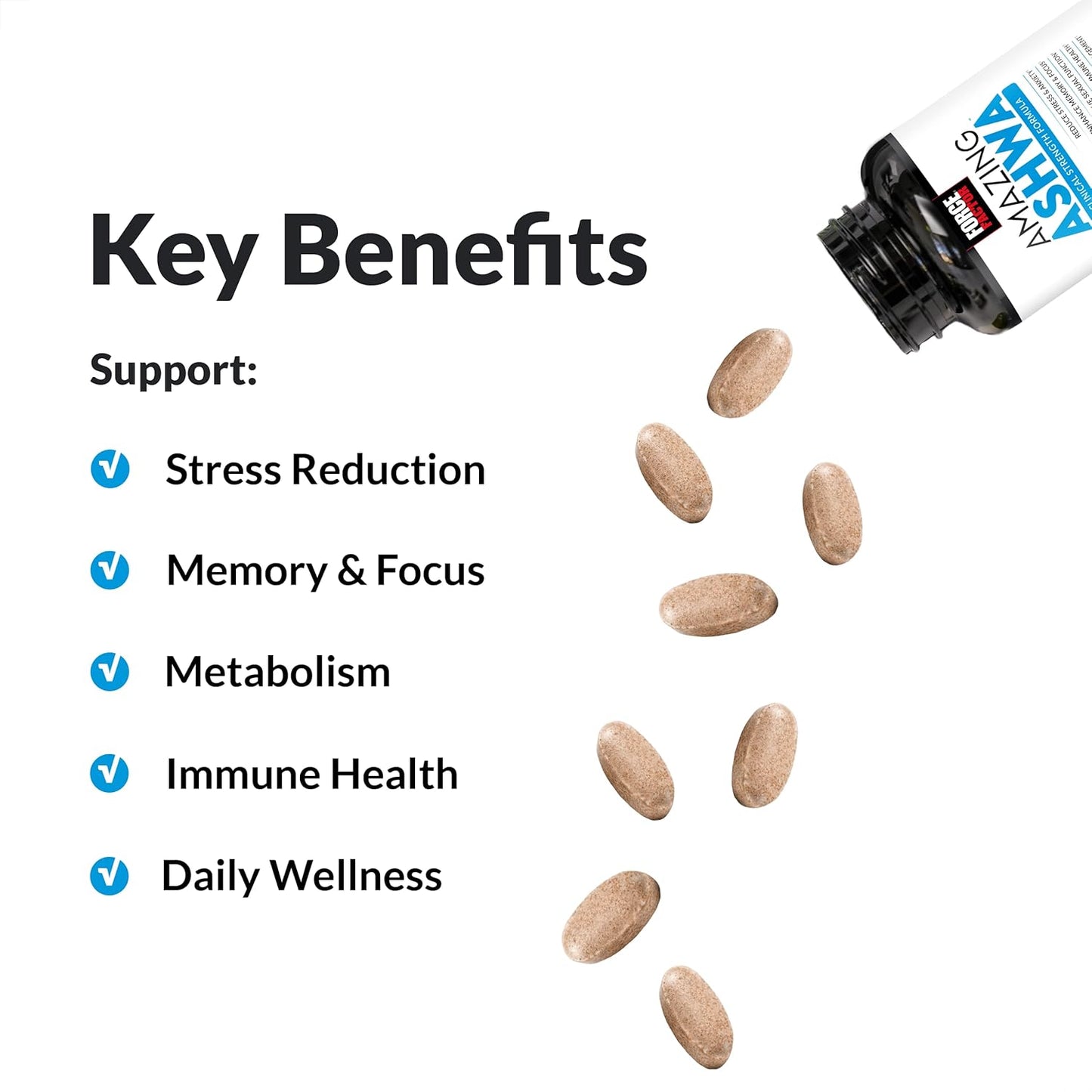 Ashwagandha Supplement for Stress Relief, Memory, Focus, and Immune Support - 360 Tablets with KSM-66 Ashwagandha, Vitamins, Minerals, and Antioxidants