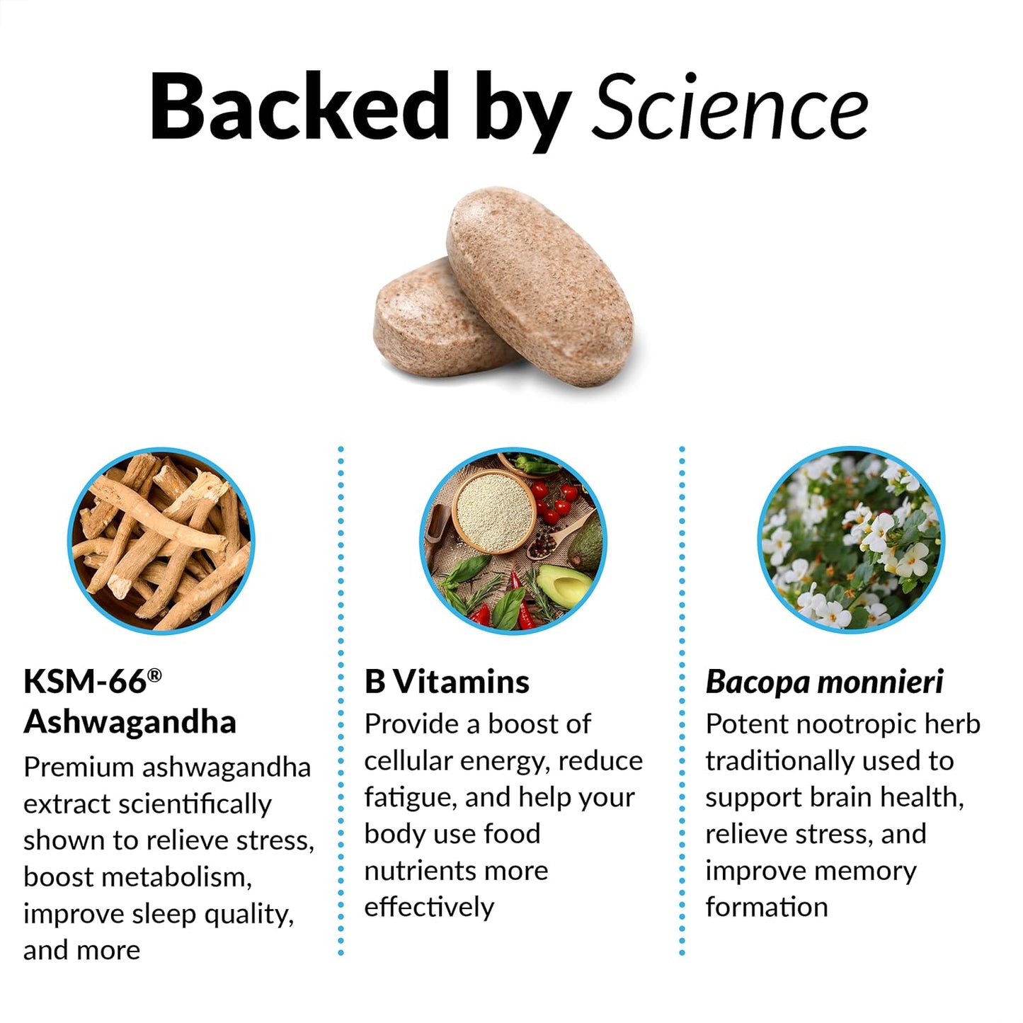 Ashwagandha Supplement for Stress Relief, Memory, Focus, and Immune Support - 360 Tablets with KSM-66 Ashwagandha, Vitamins, Minerals, and Antioxidants