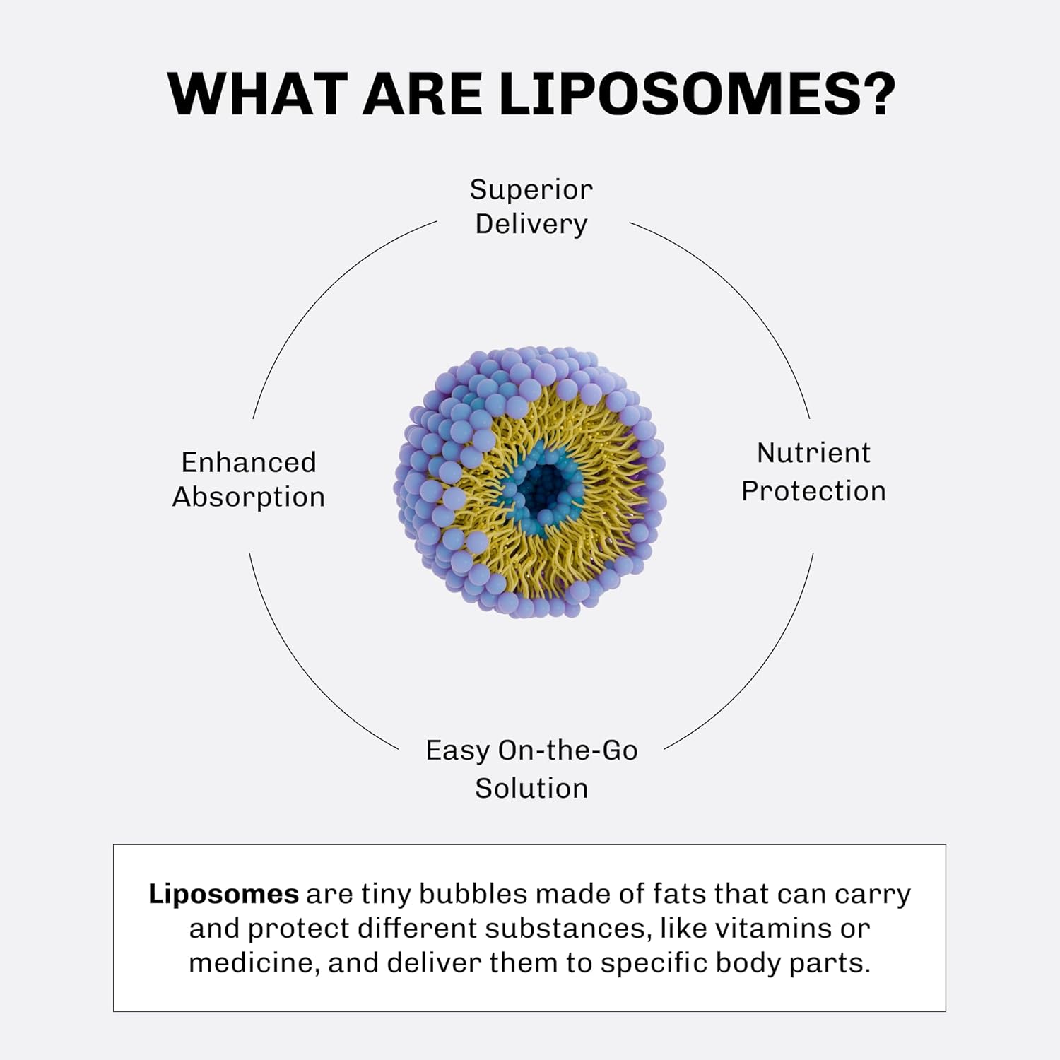 Aurora Nutrascience Active-Liposomal Creatine + GAA & R-ALA for Exercise Performance & Muscle Growth - 10 Packets