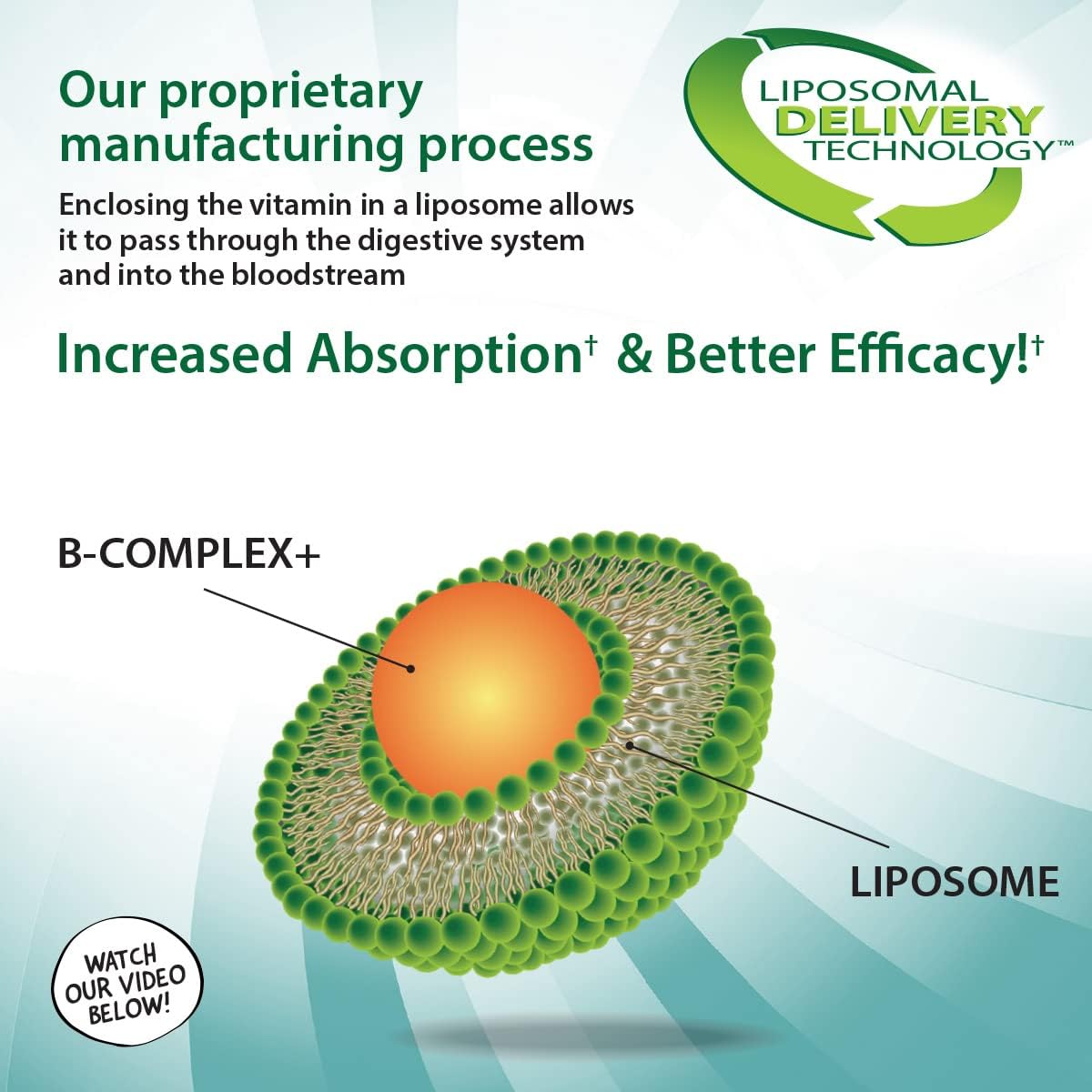 Aurora Nutrascience Mega-Liposomal B-Complex + Vitamin C Liquid Supplement 16 fl oz - Energy, Immune & Nervous System Support