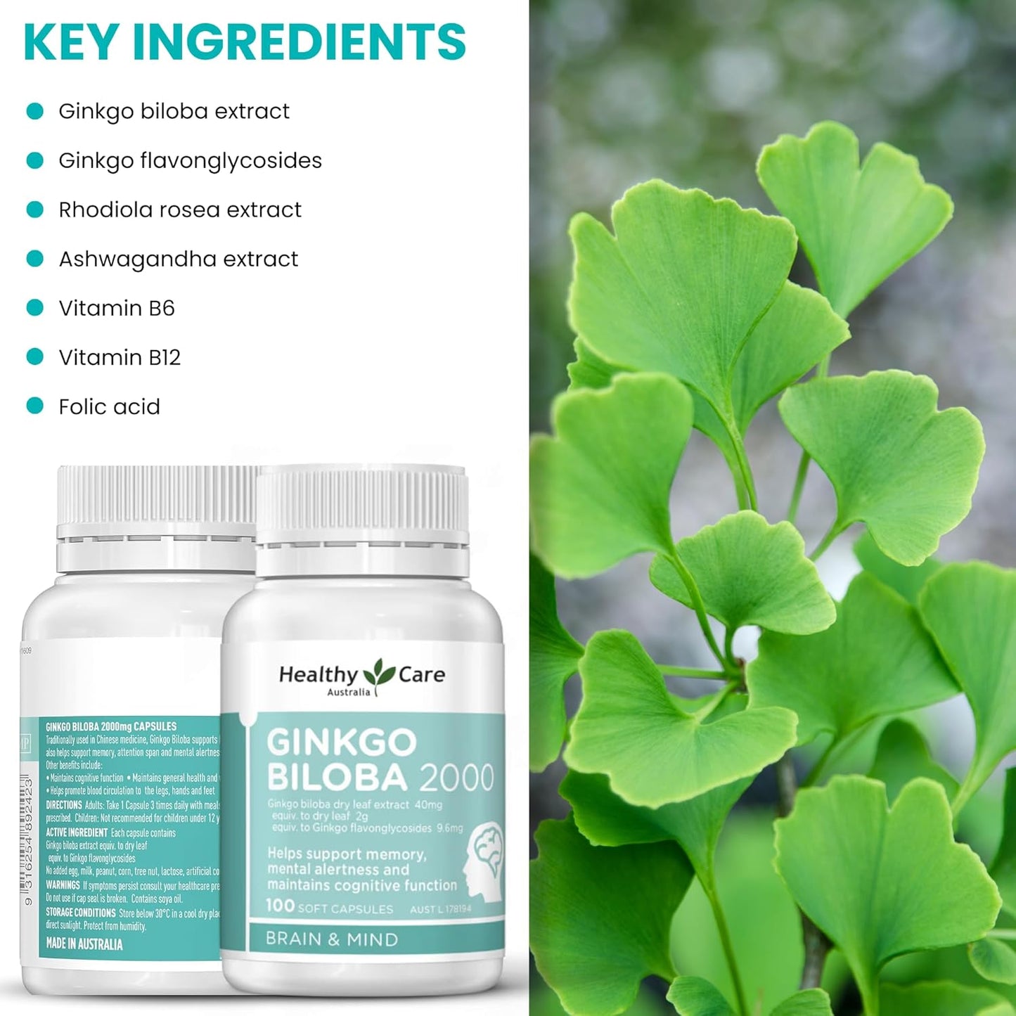Australian Made Ginkgo Biloba Capsules - 2000mg - 100 Count - Promotes Healthy Care