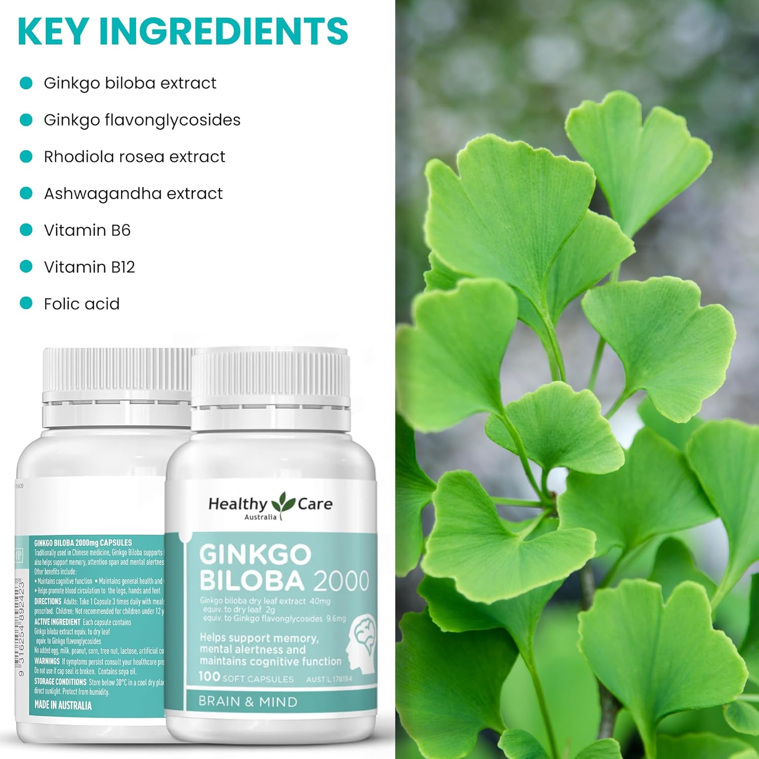 Australian Made Ginkgo Biloba Capsules - 2000mg - 100 Count - Promotes Healthy Care