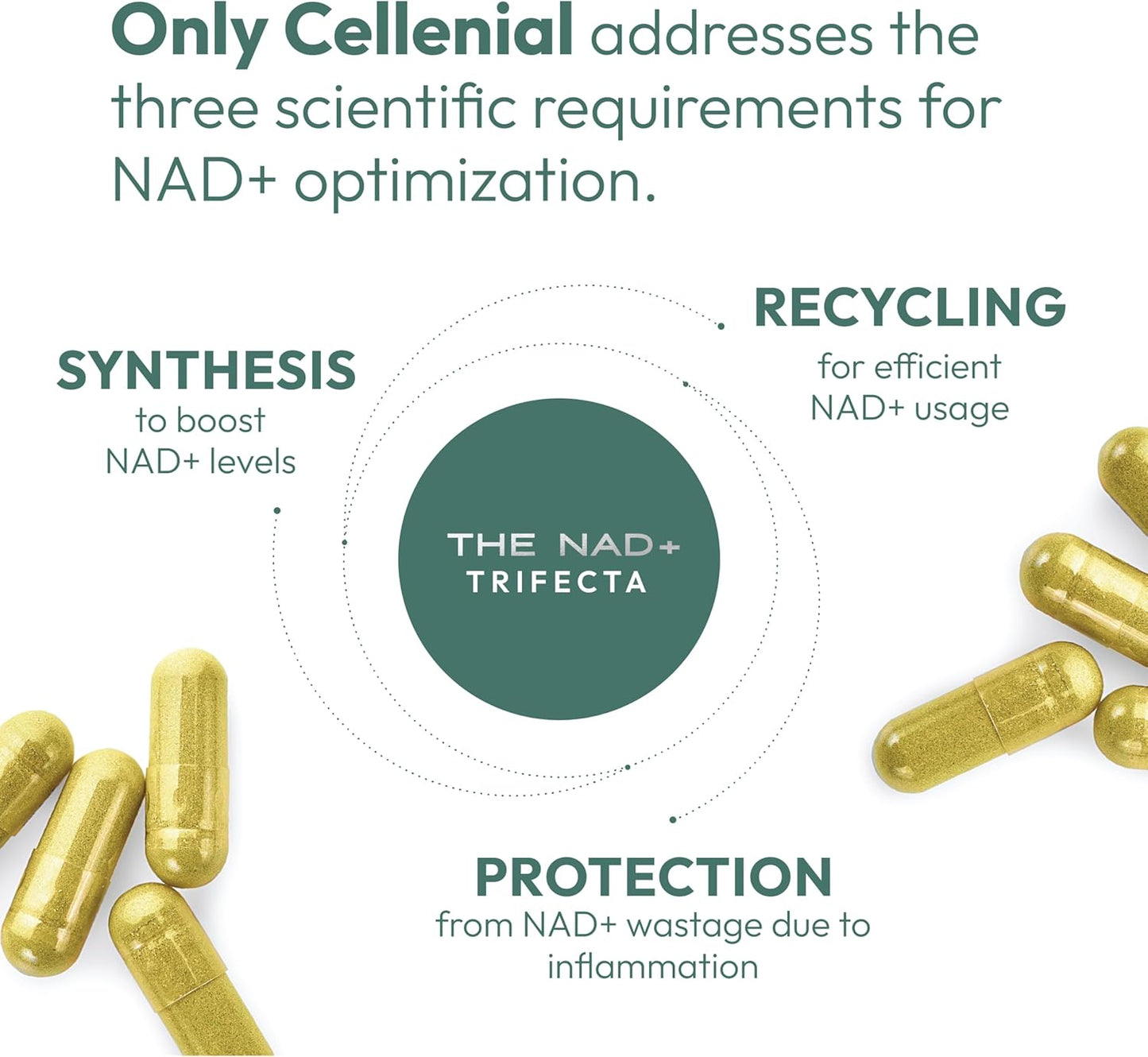 AXIA Longevity Cellenial - Advanced NAD+ Supplement for DNA Repair, Cellular Energy, Aging, and Brain Health. Boosts NAD+ Levels for Enhanced Energy Production.