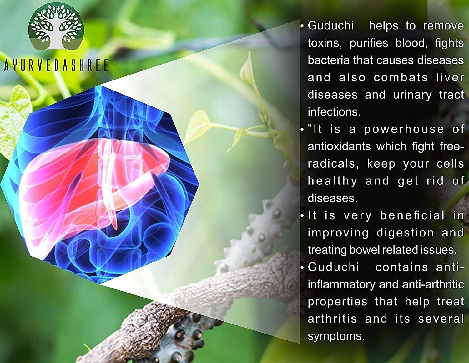 AYURVEDASHREE Giloy Powder 50g - Immune Support Supplement with Tinospora Cordifolia - Non GMO & Gluten Free - 100% Natural