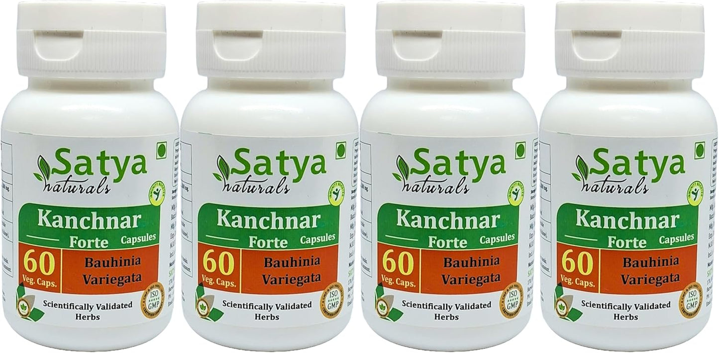 Ayurvedic Kanchnar Forte Capsules 500mg for Men and Women - Herbal Supplement with Bauhinia Variegata Extract - Pack of 240 Capsules