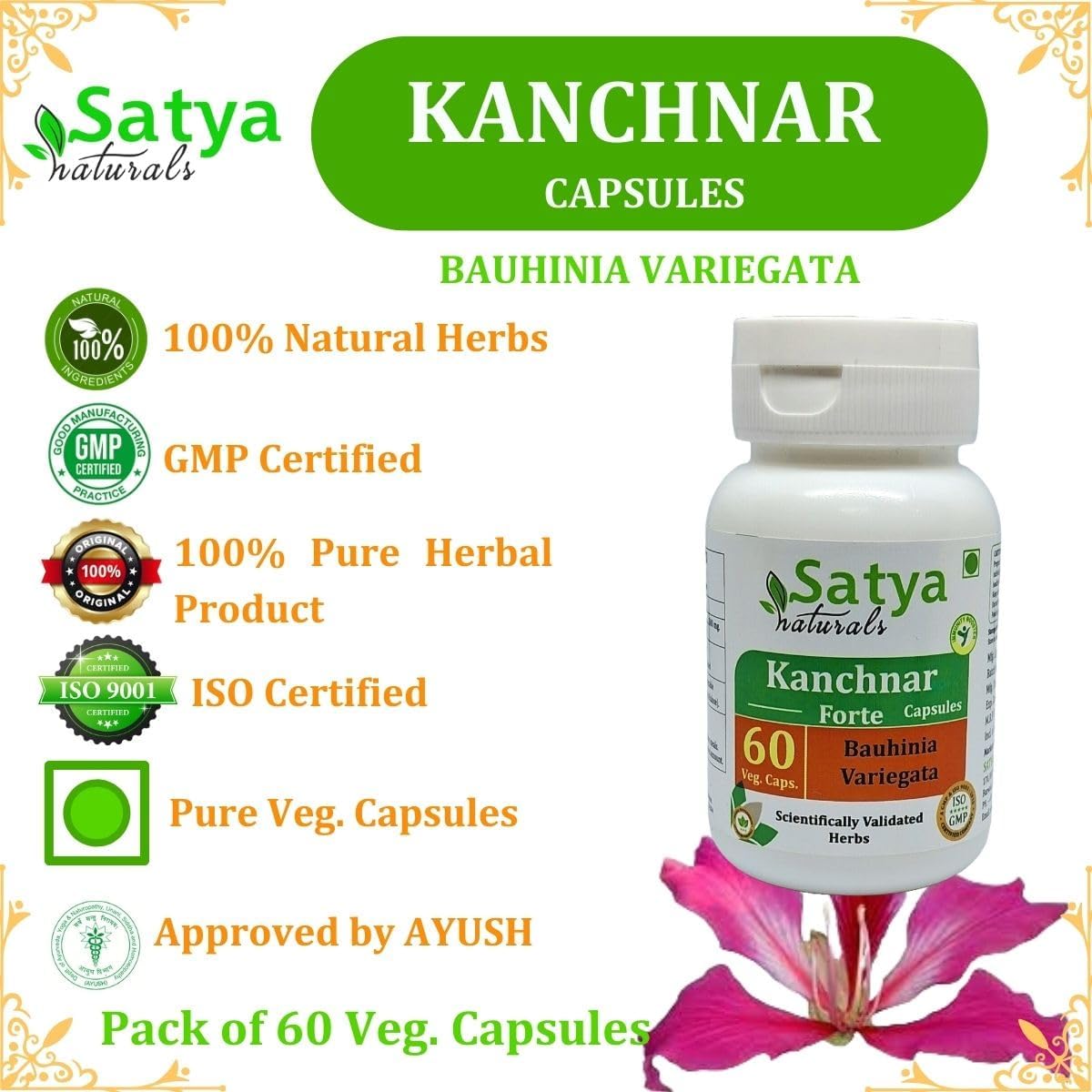 Ayurvedic Kanchnar Forte Capsules 500mg for Men and Women - Herbal Supplement with Bauhinia Variegata Extract - Pack of 240 Capsules