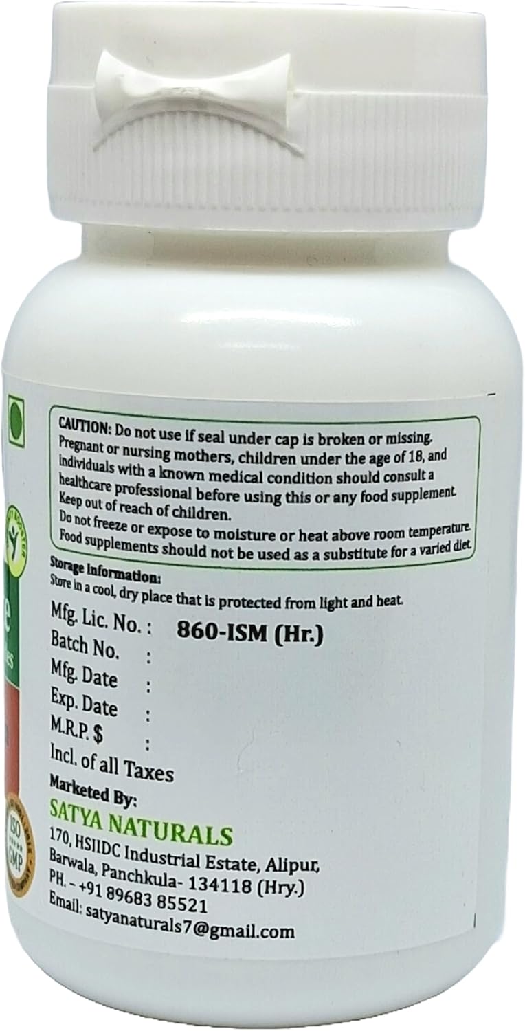Ayurvedic Shilajit Forte Capsules 500mg - 240 Capsules for Men and Women - Herbal Supplement - Satya Naturals