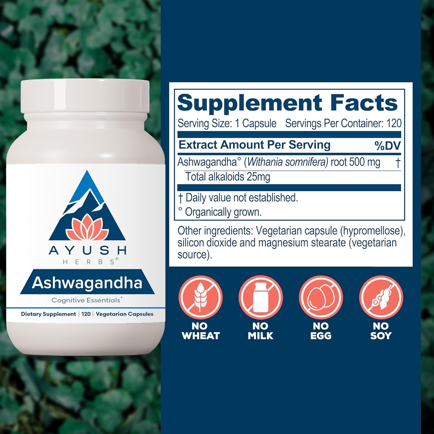 Ayush Herbs Ashwagandha Capsules - Pure Ashwagandha Root Powder for Stress Relief - 120 Vegetarian Caplets